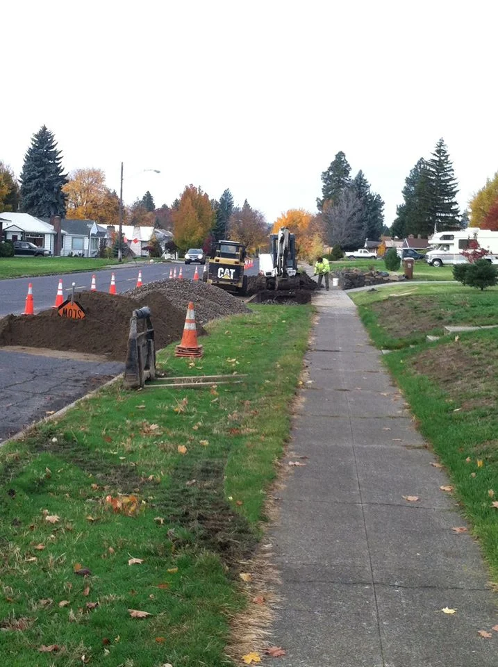 Green Infrastructure (1).jpg
