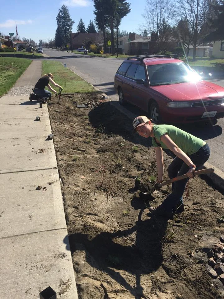 Green Infrastructure (3).jpg
