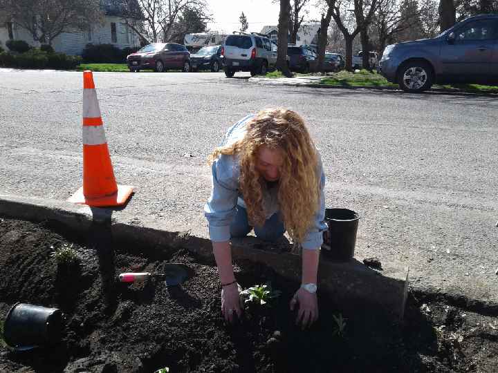 Resized_20190411_104510_8252.jpeg