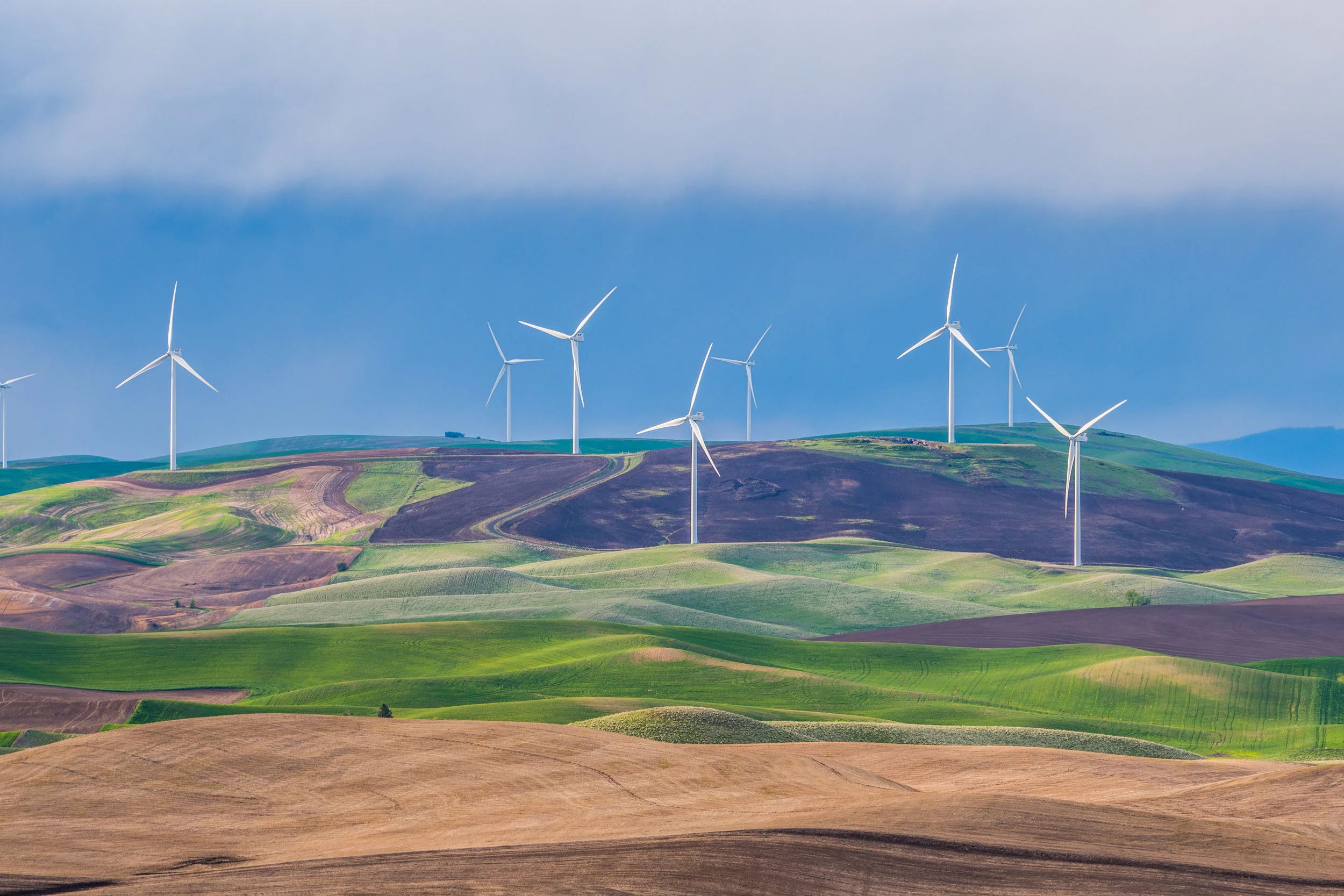 Windmills.jpeg