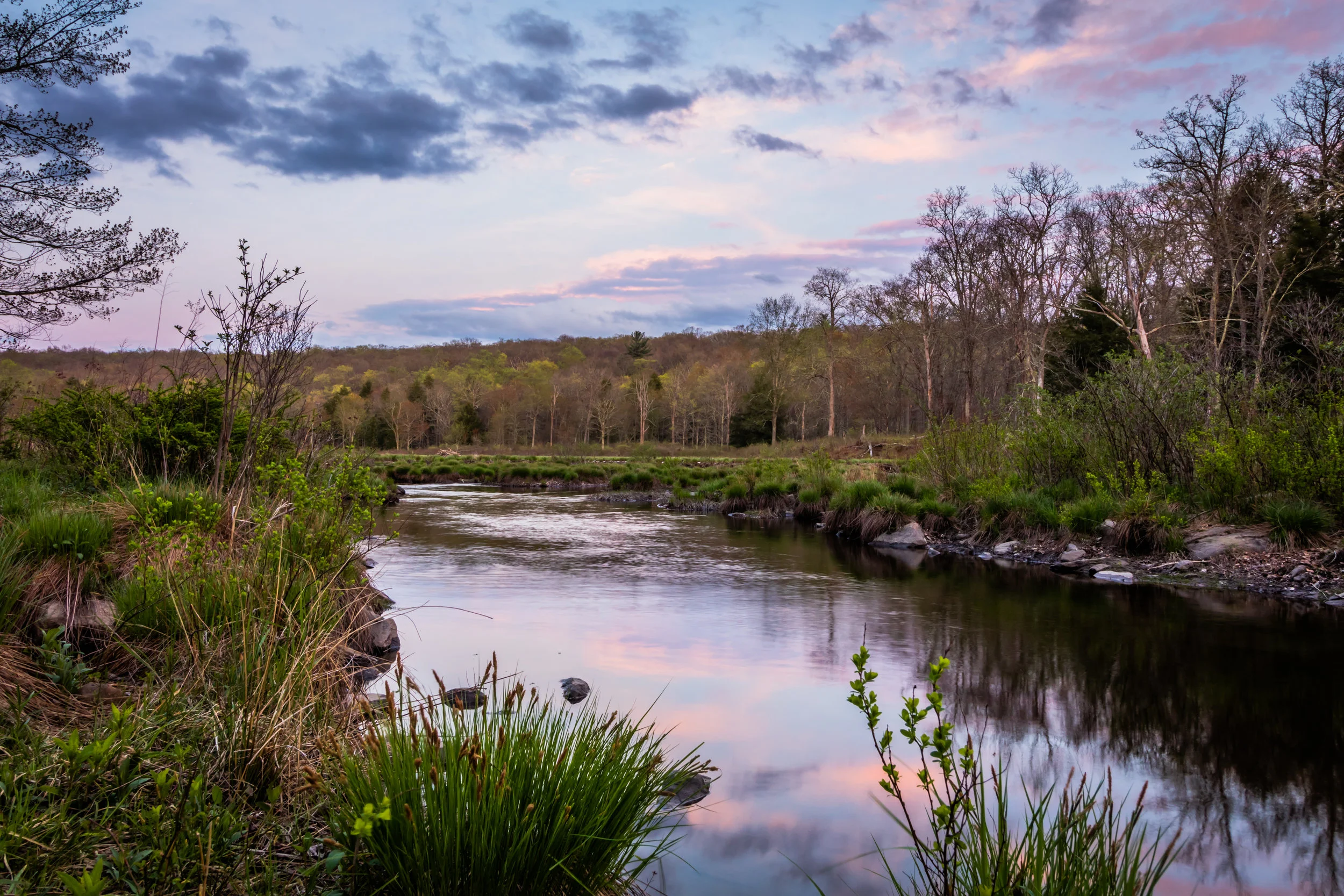 Beaver Pond.jpeg