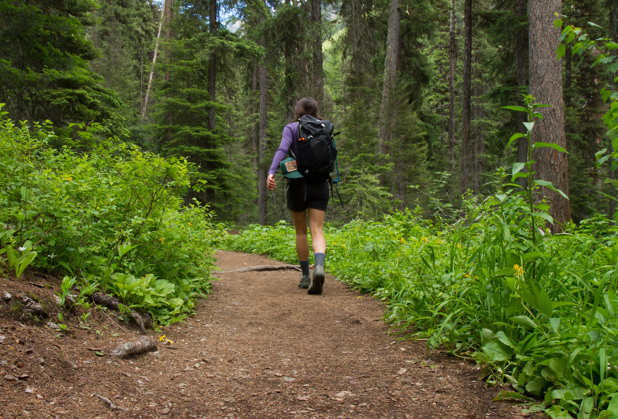 We work to create new recreational opportunities in our region, including a plan in the Colville National Forest that will benefit hikers, bikers, horseback riders, and skiers.