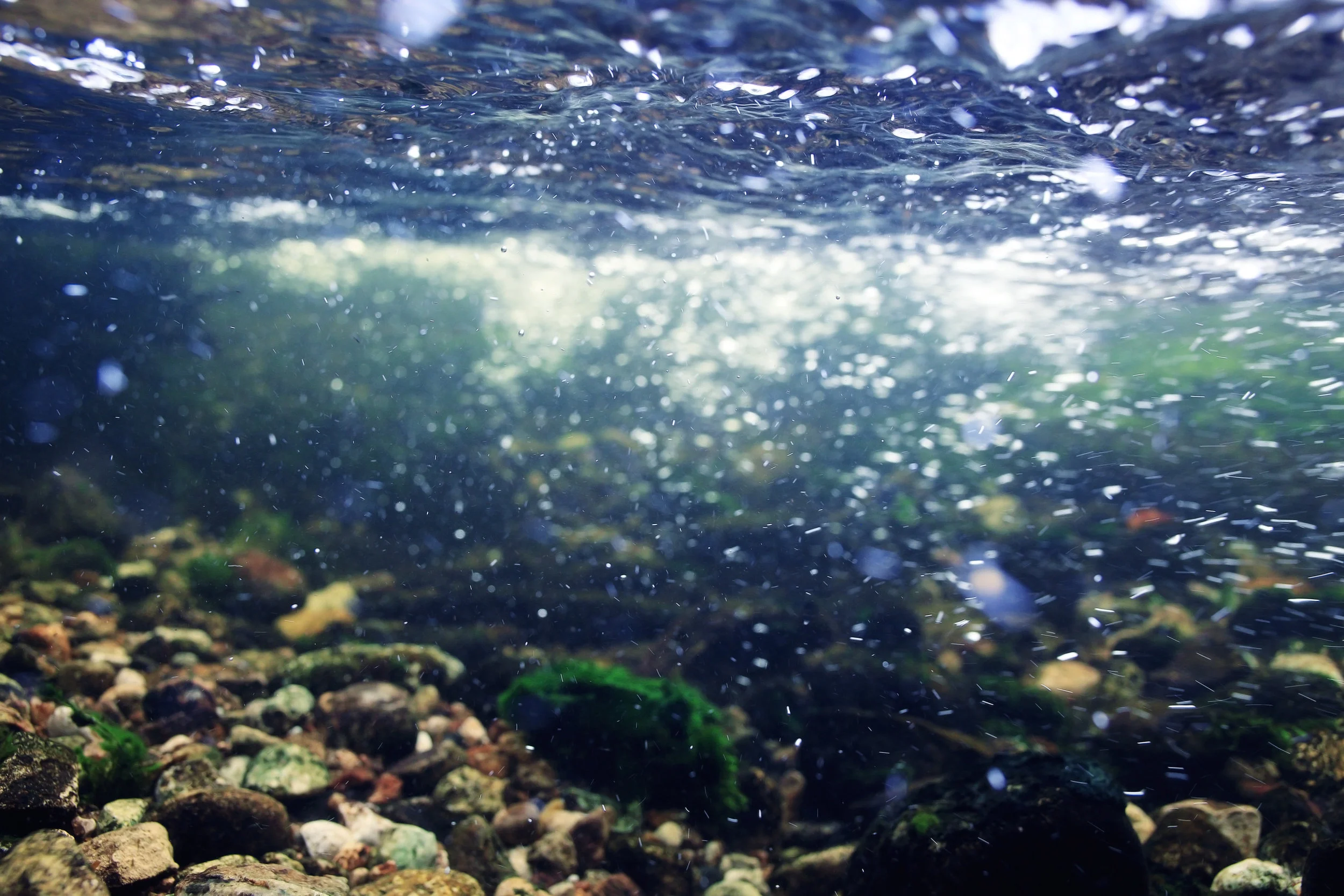 Water2.jpeg