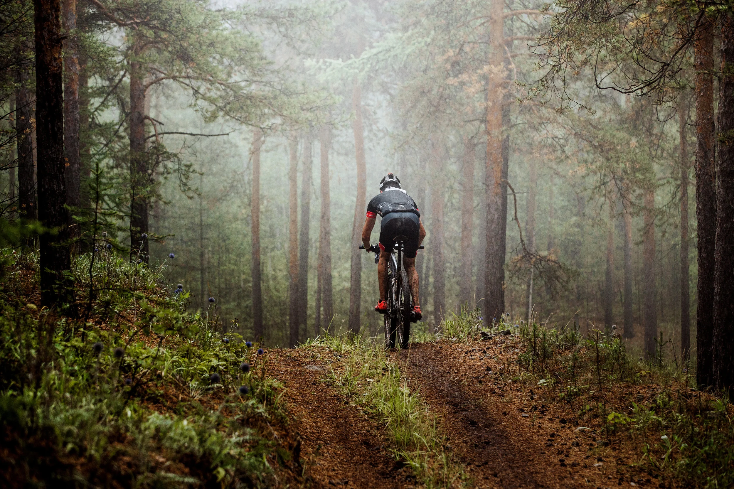 Mountain Biker.jpeg