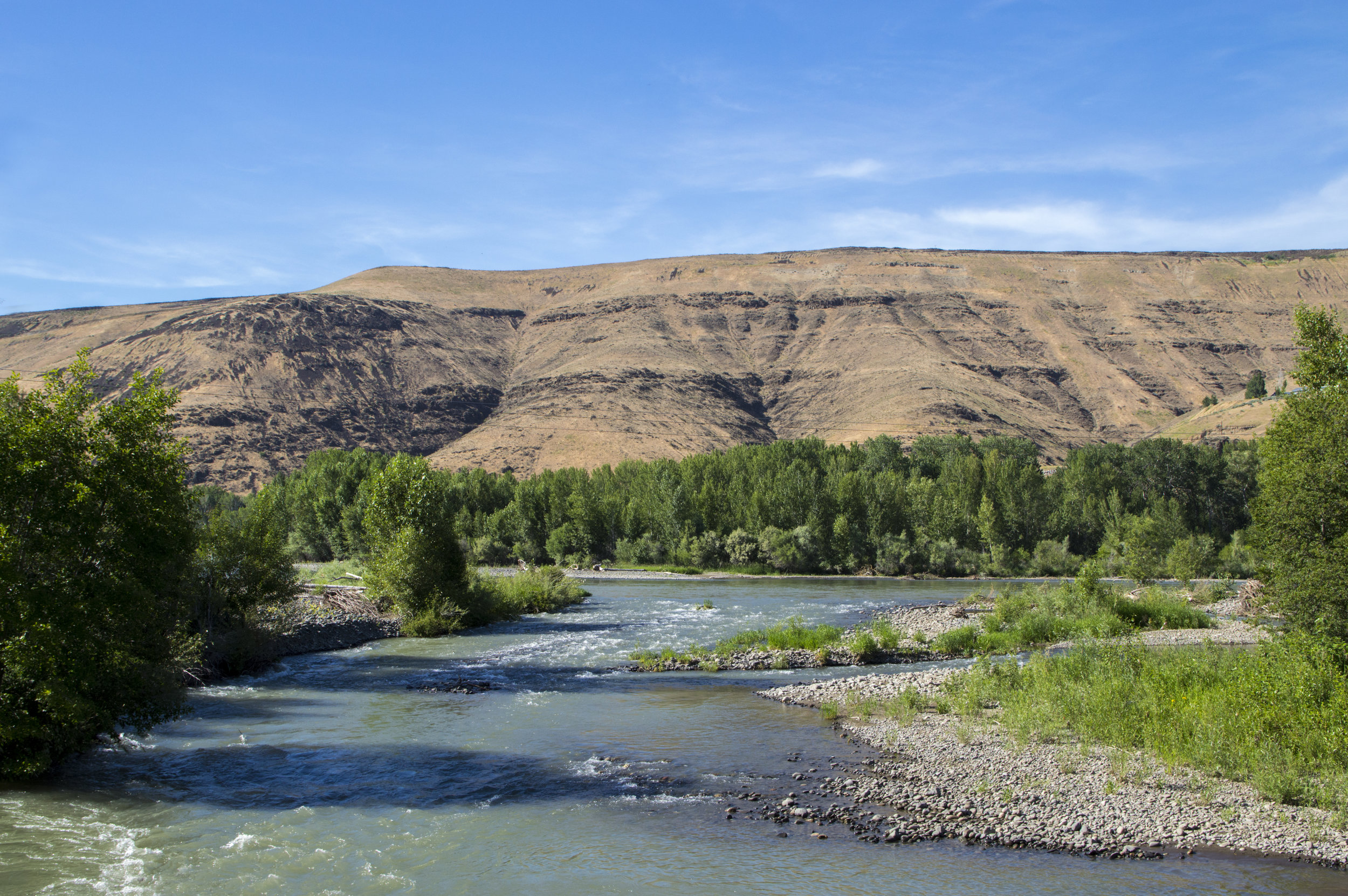 River.jpeg