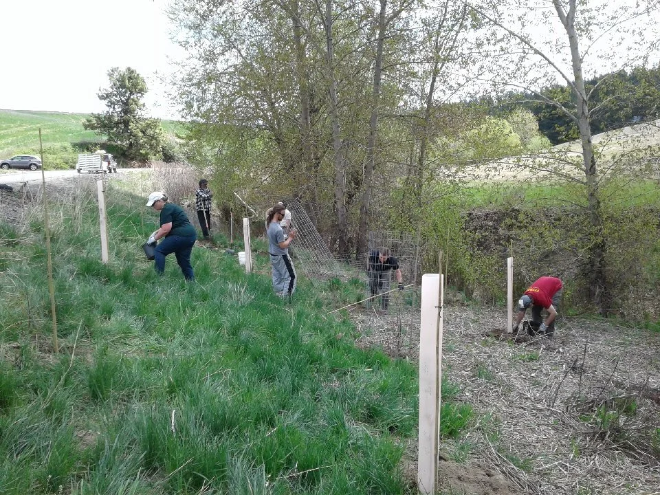 Spring Environmental Education and Restoration Update