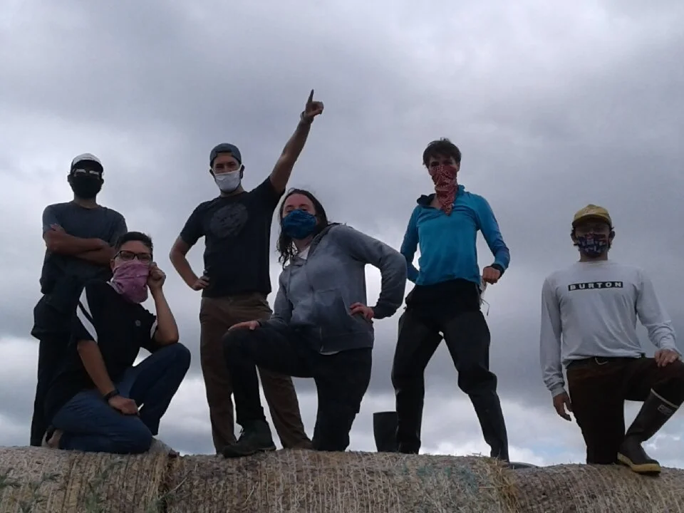 TLC Summer Interns
