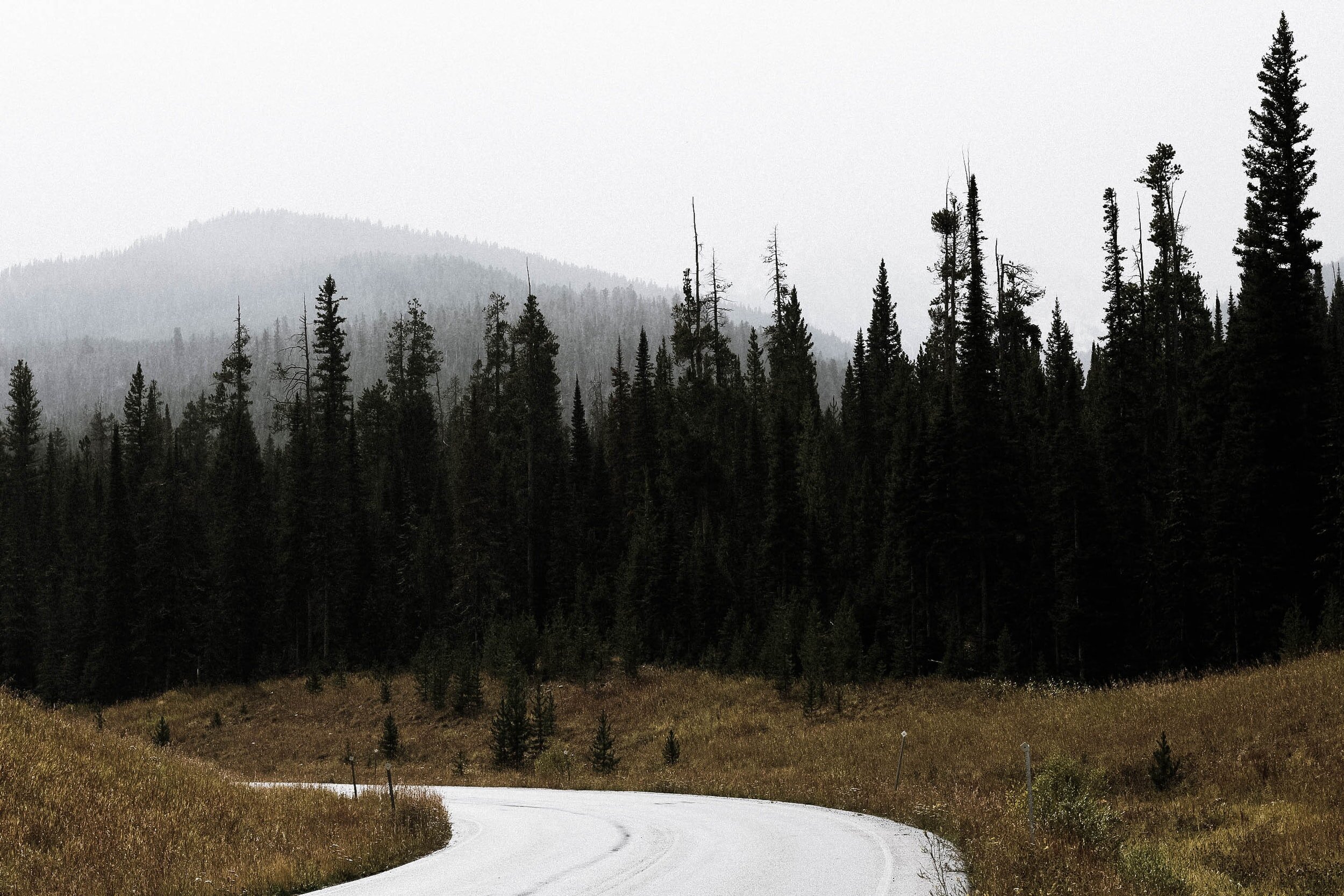 Op-Ed: Hunters and Outdoor Enthusiasts Can Coexist