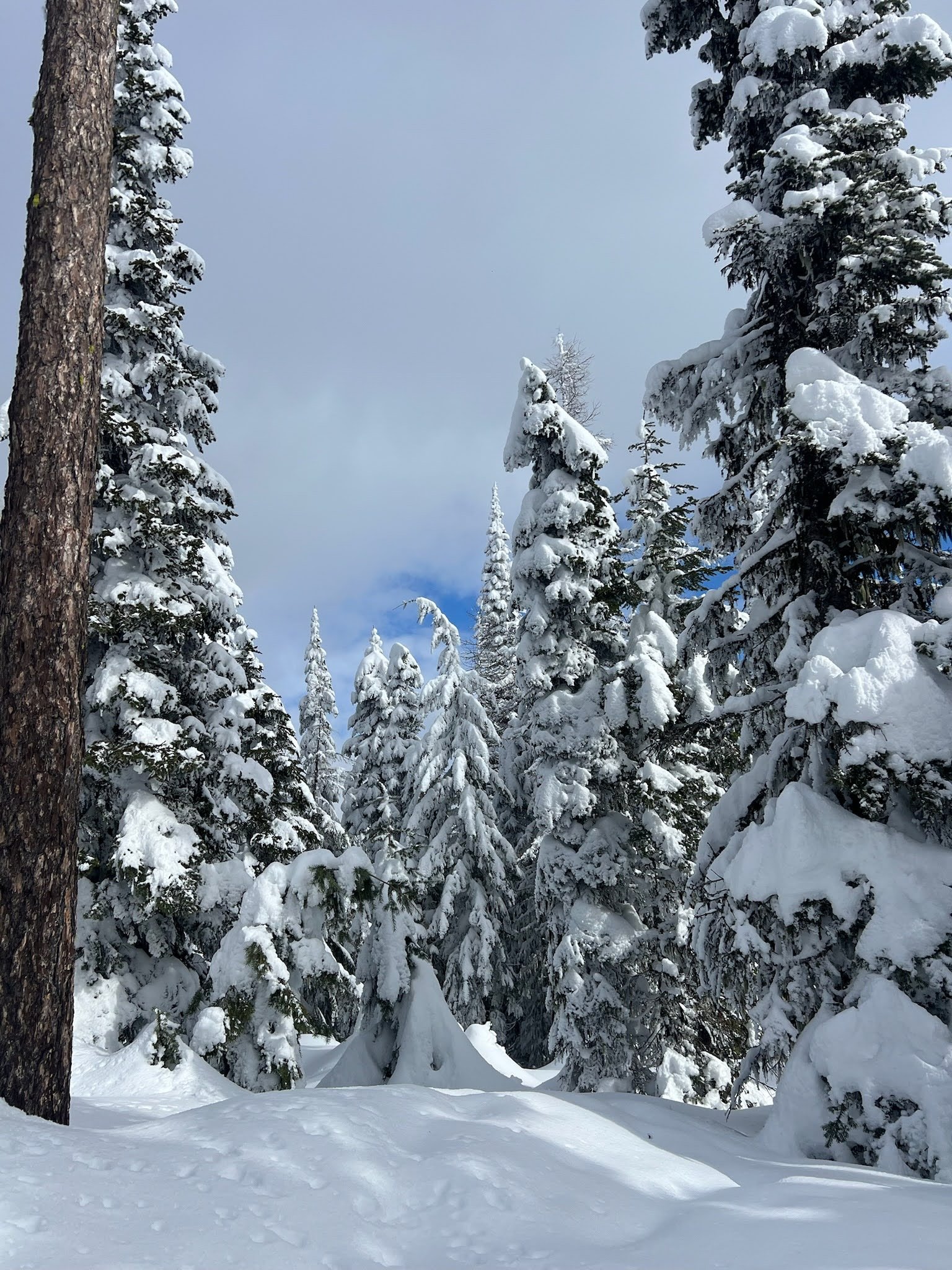 Six More Weeks of Winter - But Where Is It?