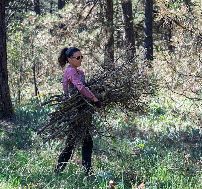  Photo by Catherine Spangler  