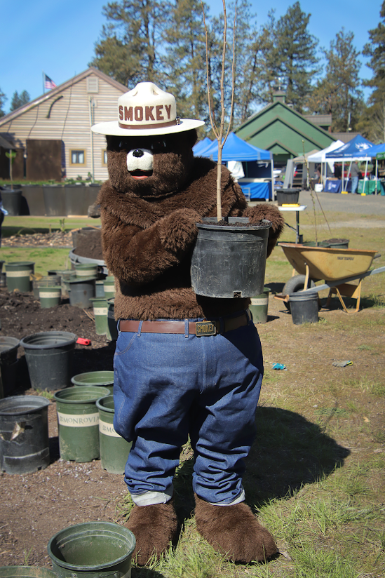 Smokey+potting.png