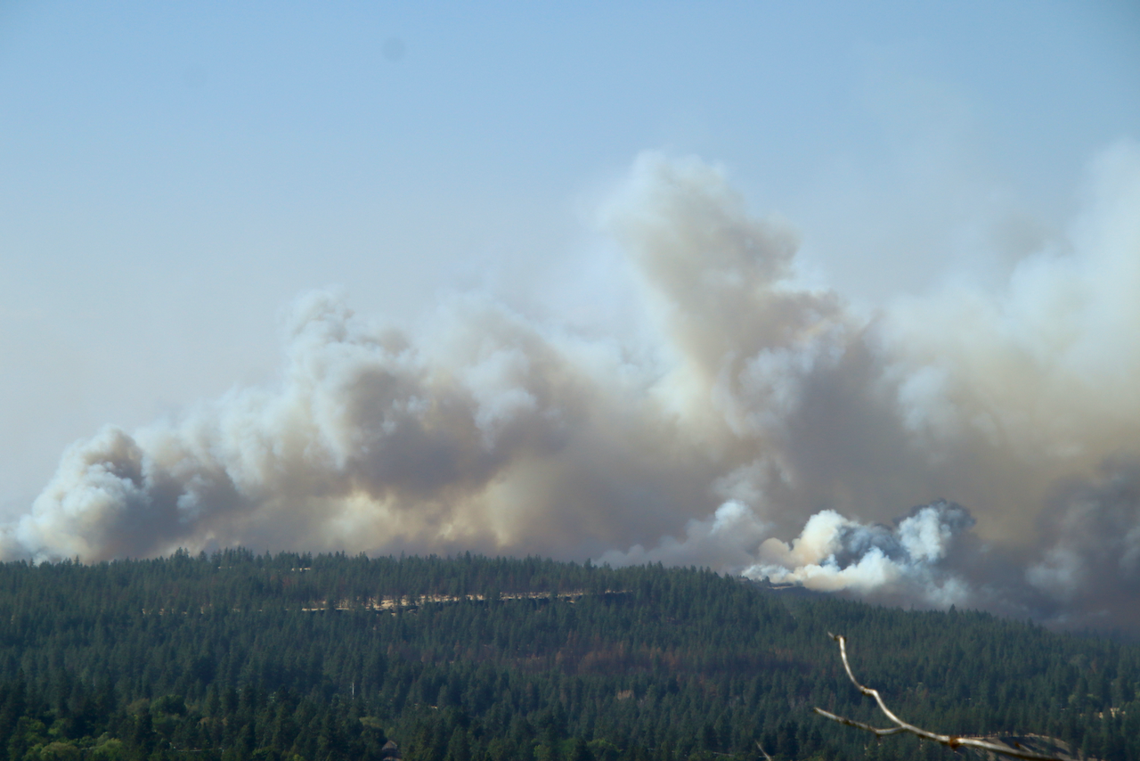Understanding the Spokane Complex Fires