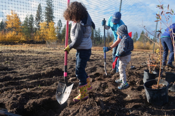 Waikiki Takes Root: A Community Planting Day