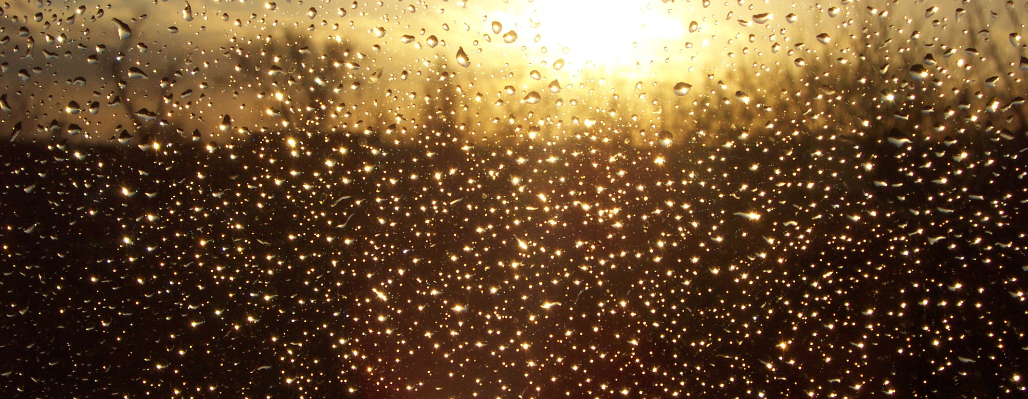 Copy of AS Wide 2026.png