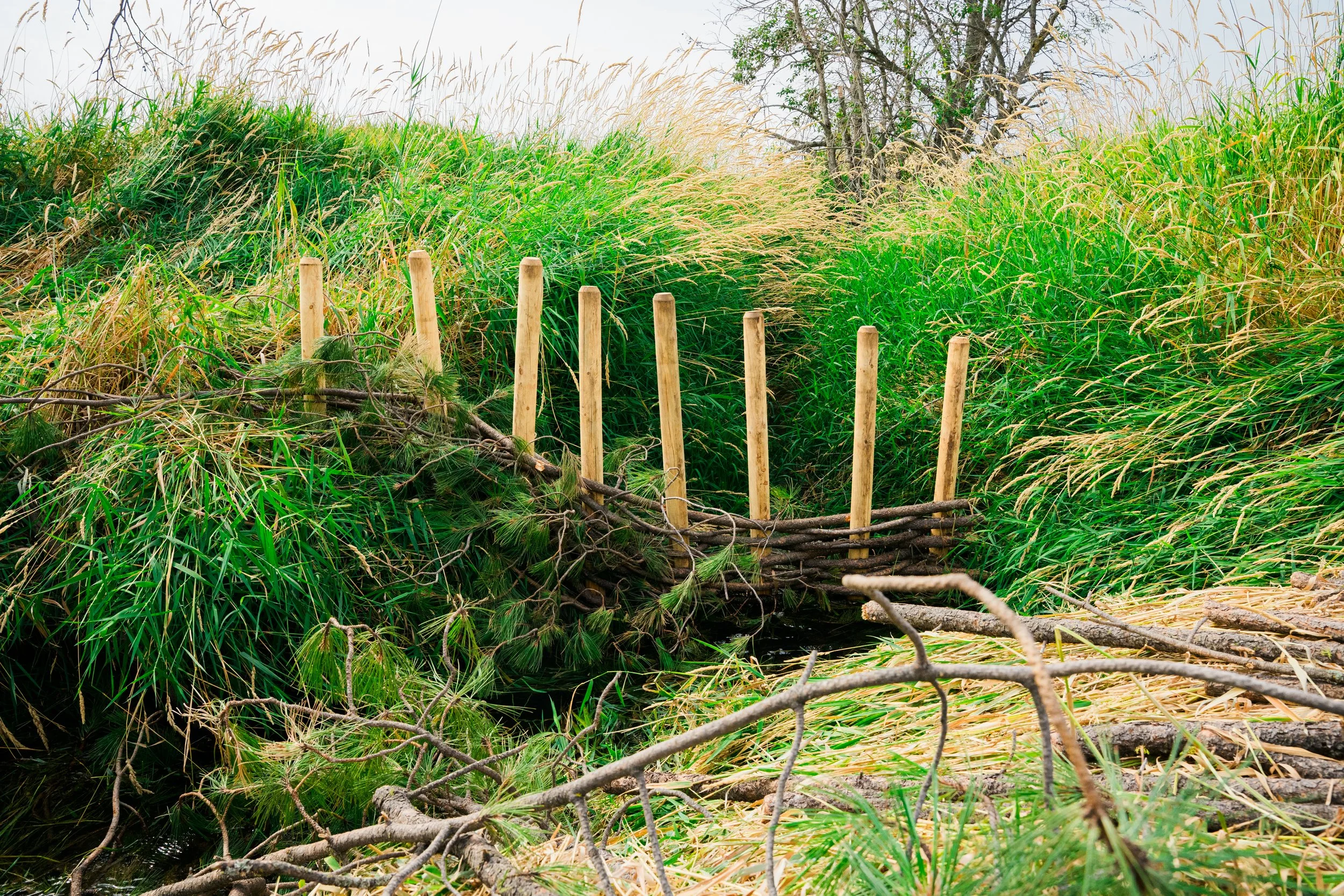 Lands Council-057.jpg