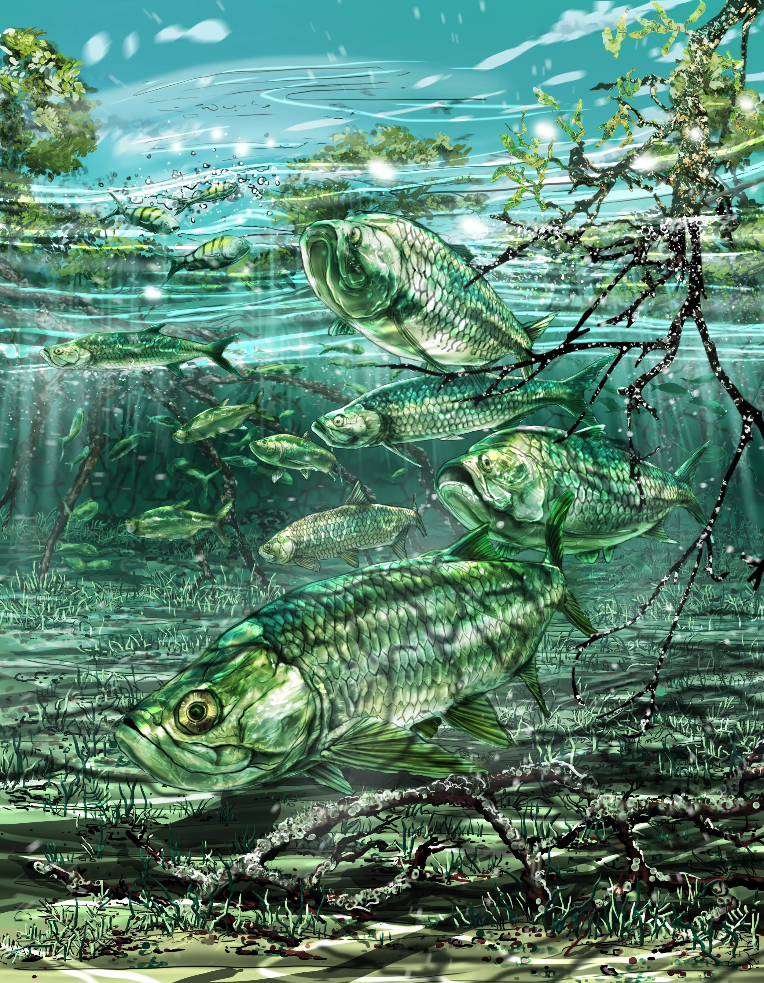 Local Waters vol3