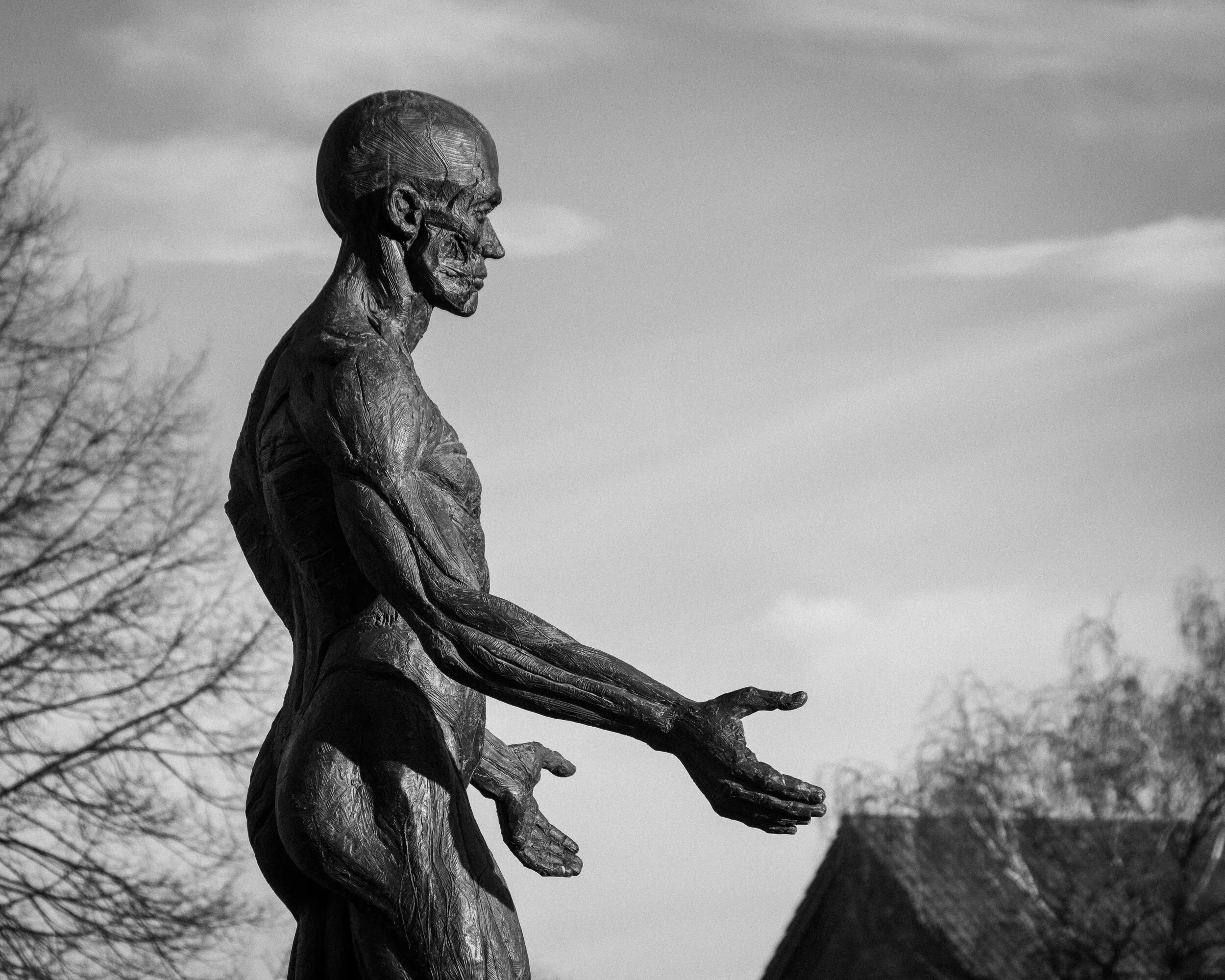 Lazarus #christianlemmerz