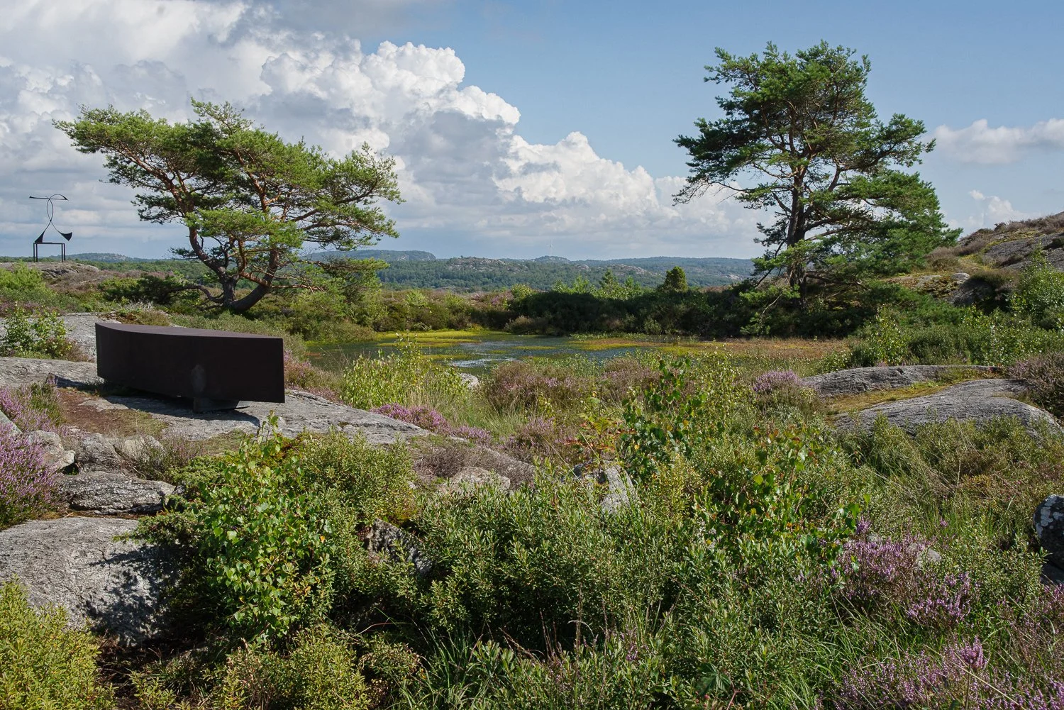 Pilane_Tjörn_Sverige