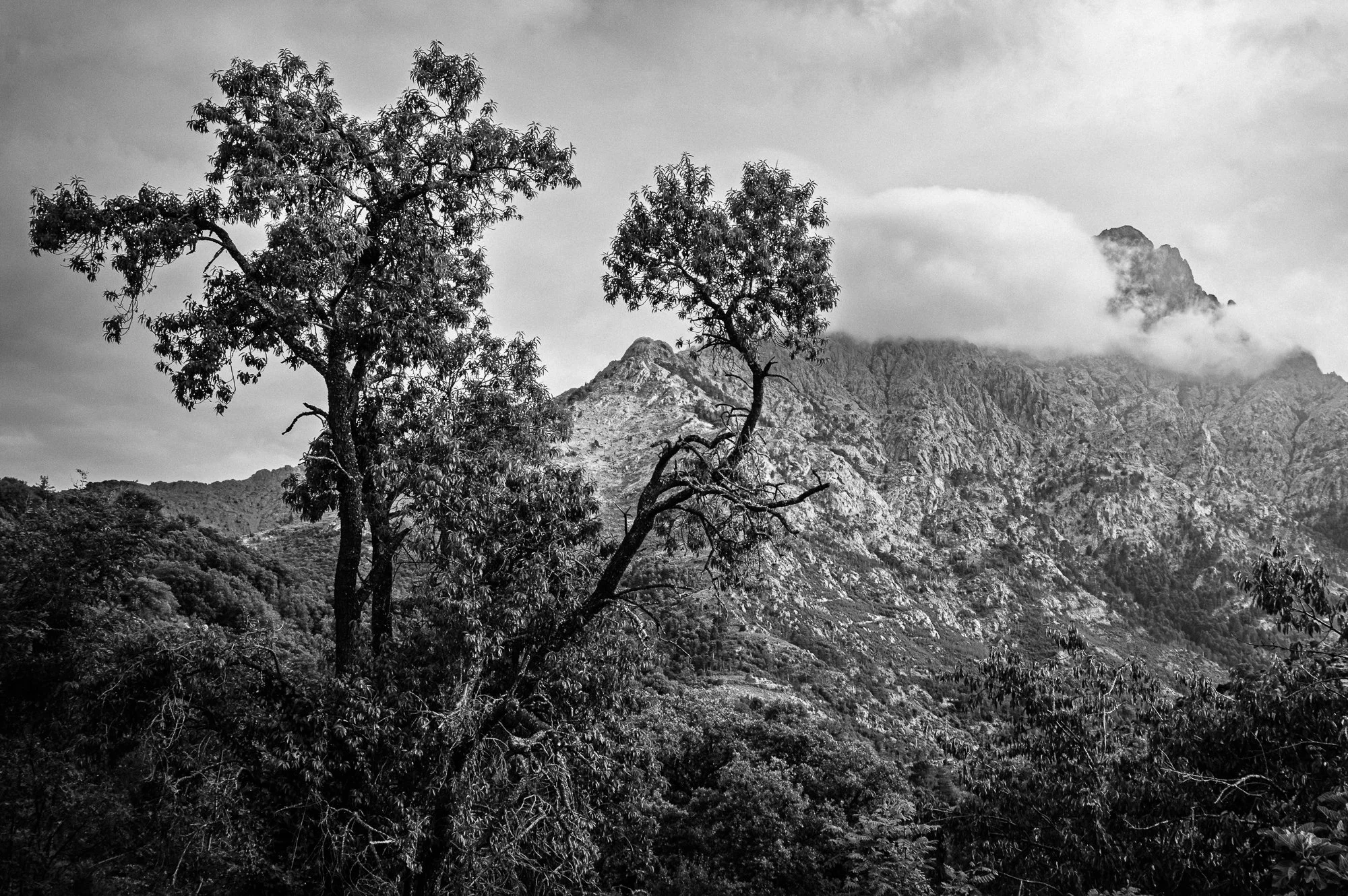 Capella_Korsika_2025