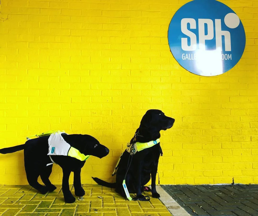 Art dog and real dog