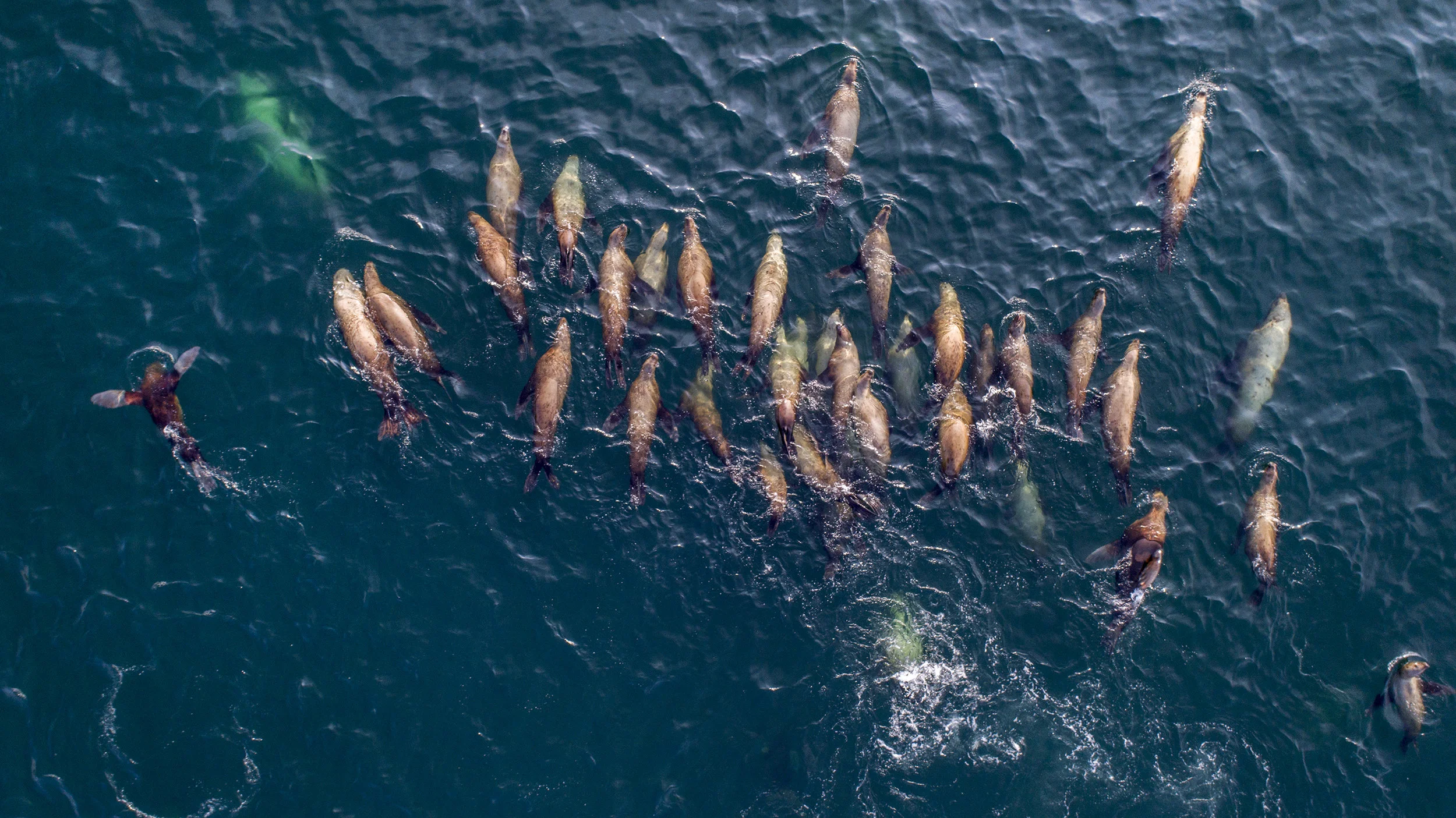 002-DJI_0007 2.jpg