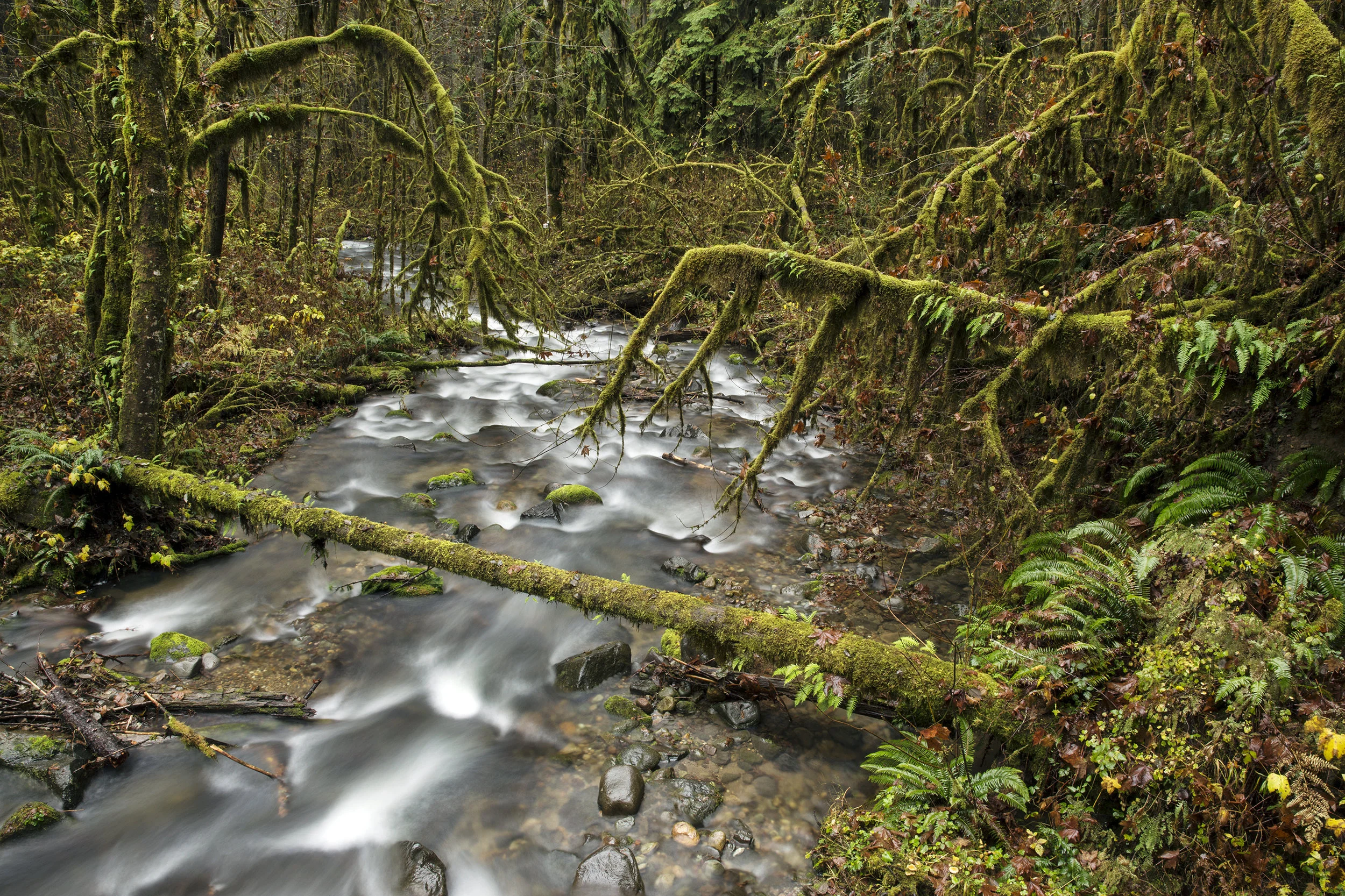 020-OREGON.01560.jpg