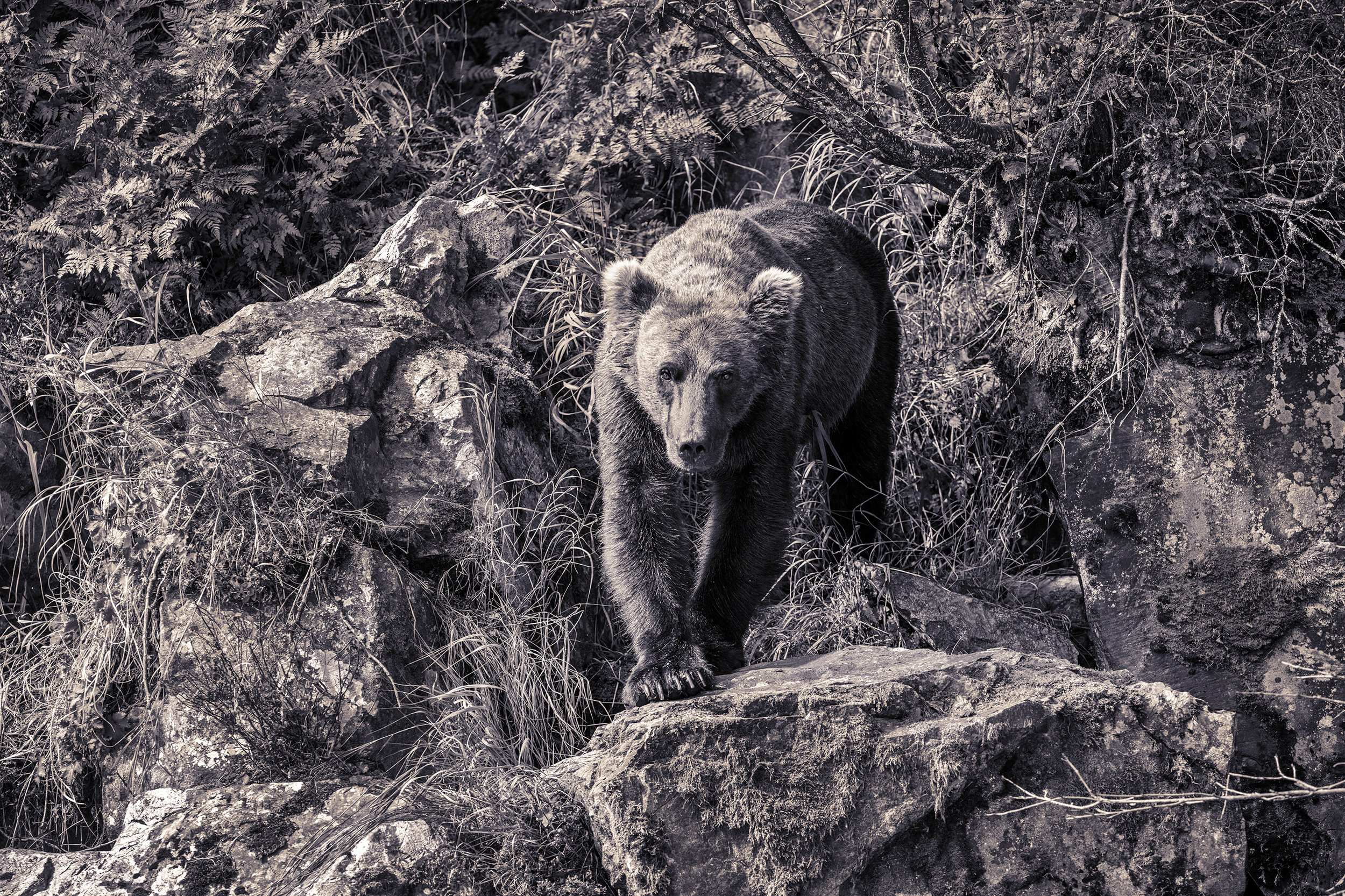 021-ALASKA.01437.jpg