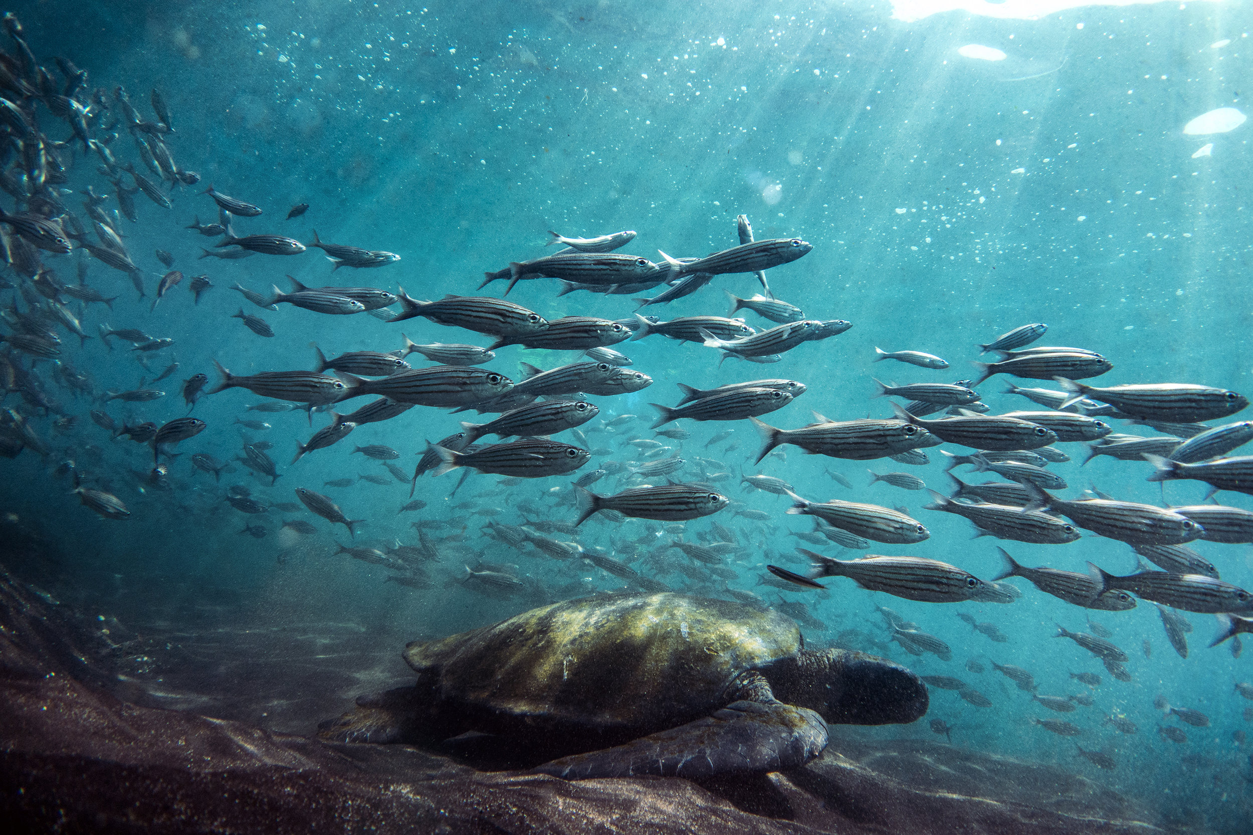 031-GALAPAGOSISLANDS.00181.jpg