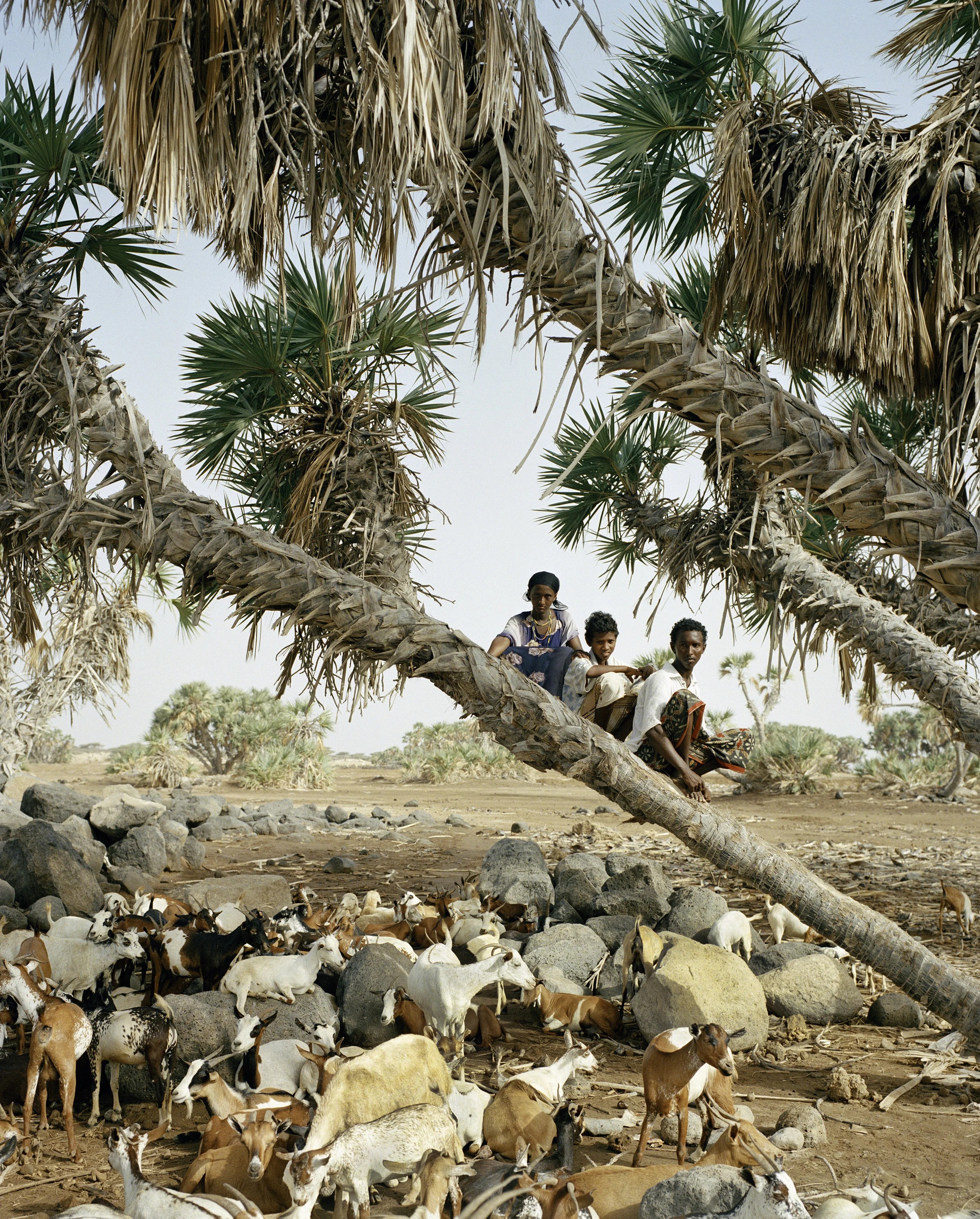 026-ERITREA.00106.jpg