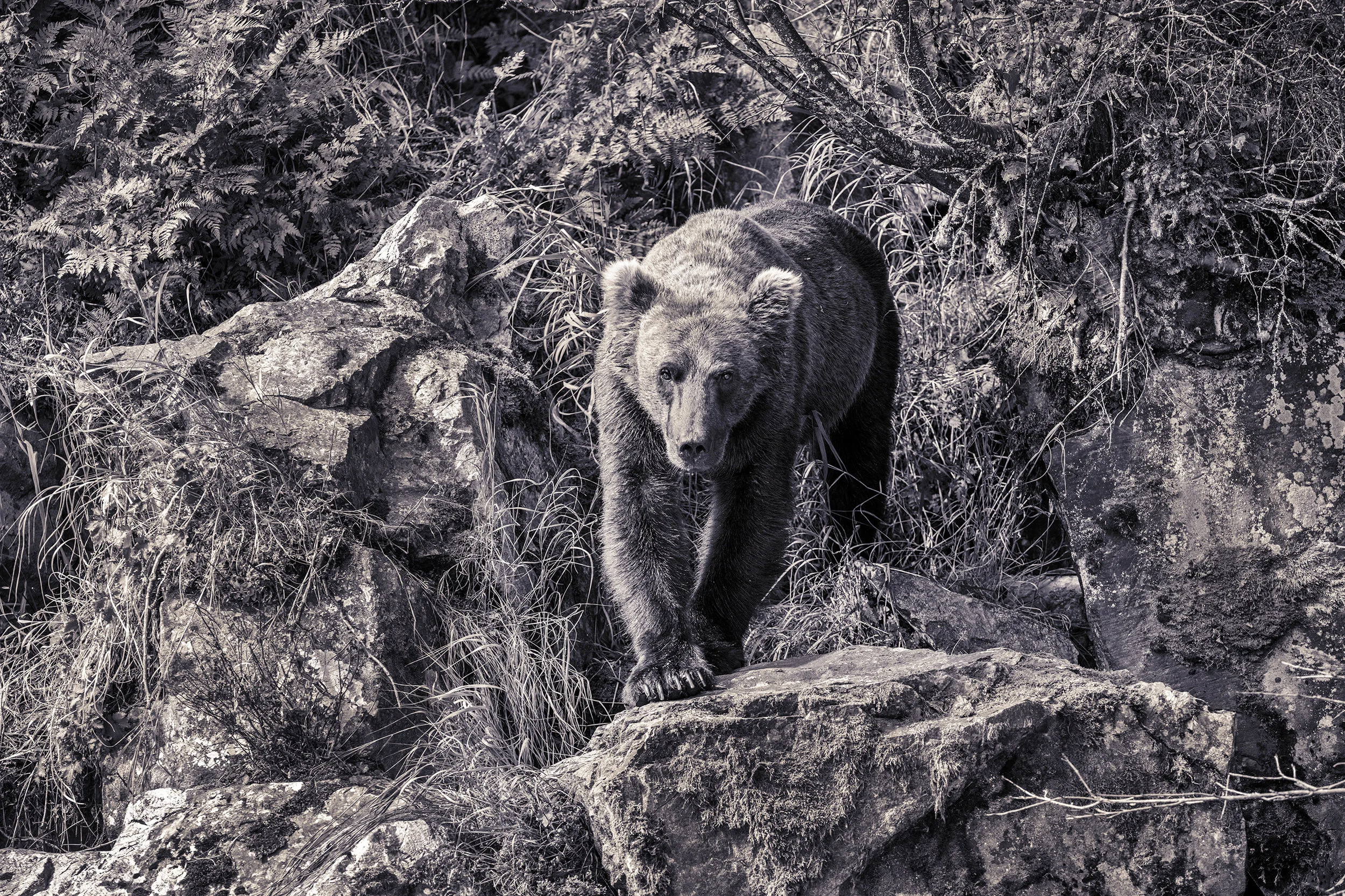 ALASKA.01437.BC3.jpg
