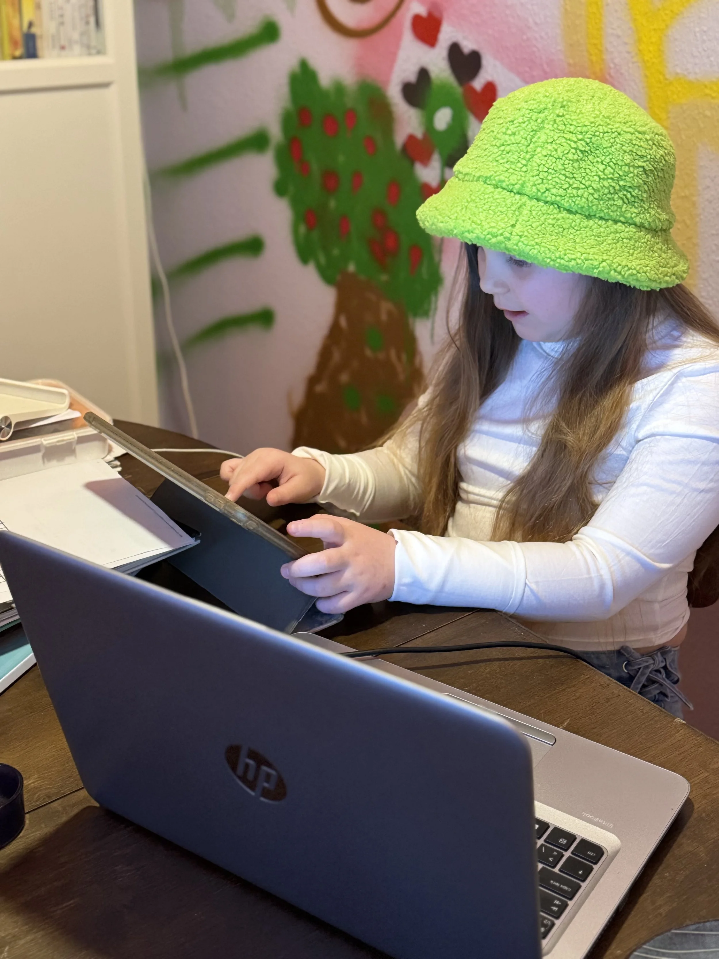 Guide til online skole: Alt du bør vide, før dit barn starter