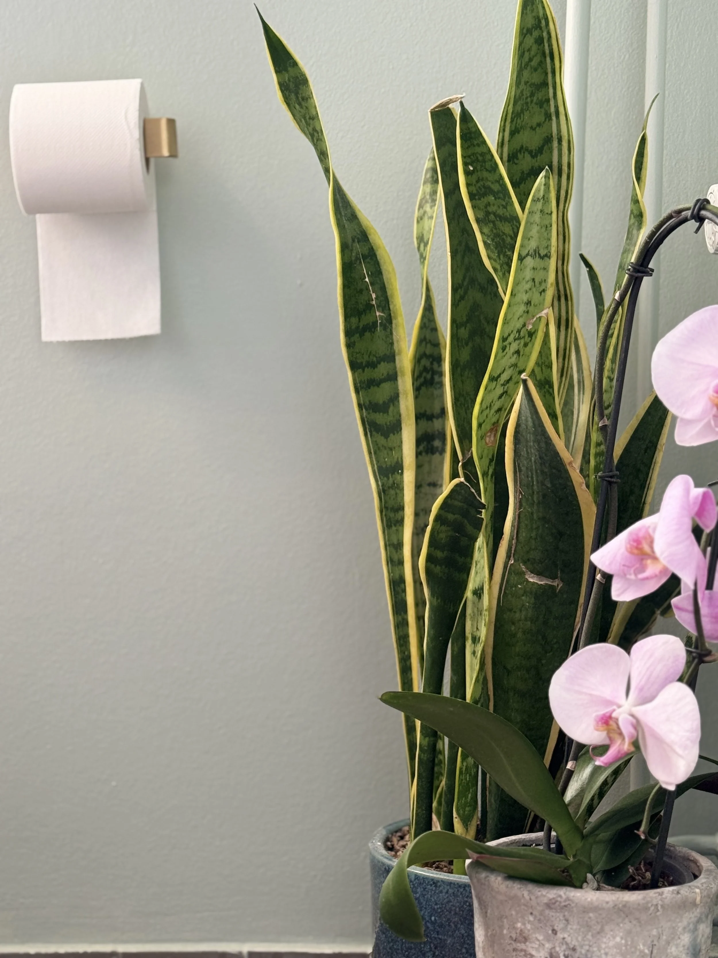 Badeværelse makeover på budget - små ting kan skabe store forandringer