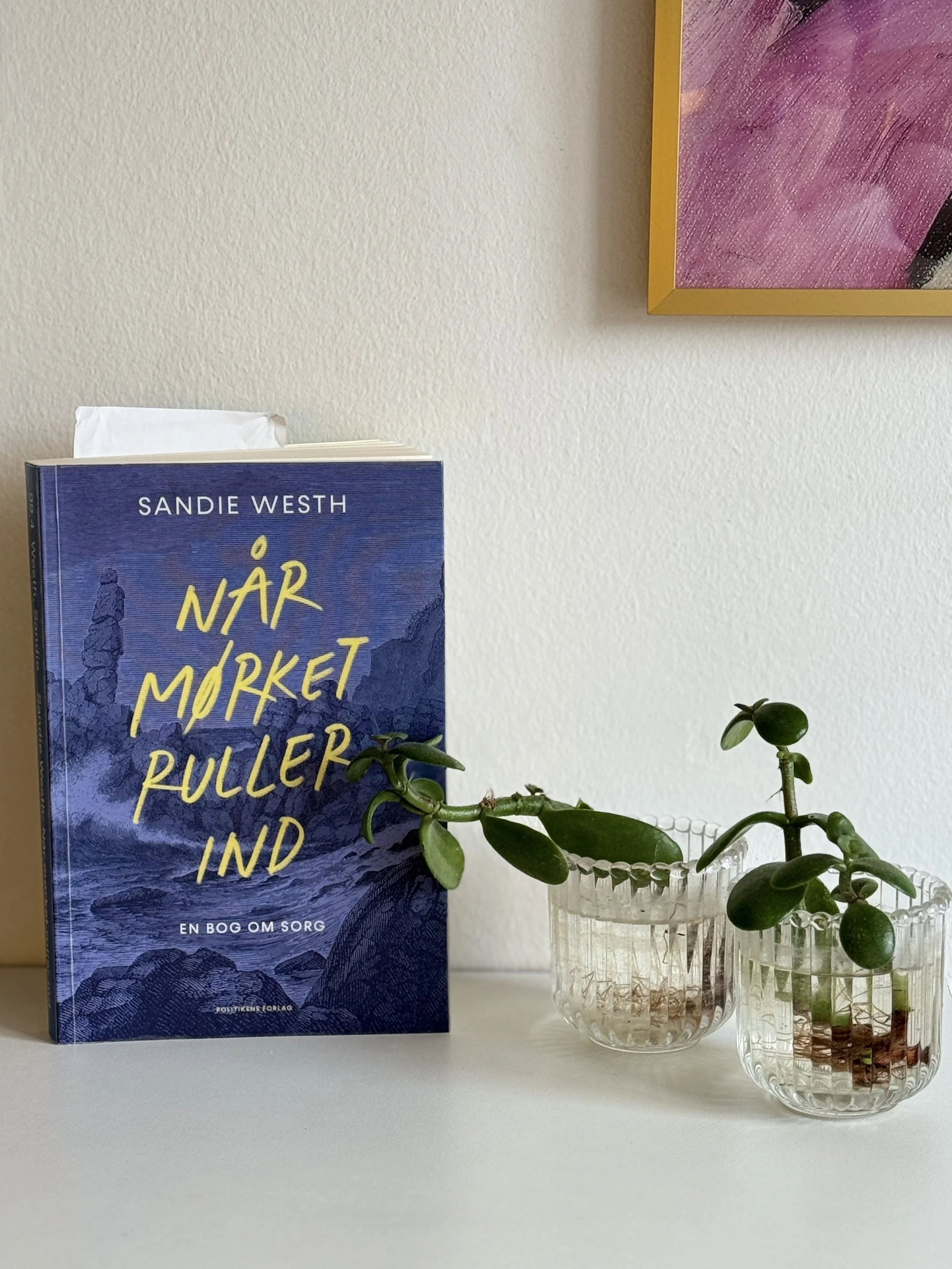 Når mørket ruller ind: Sandie Wesths hjerteskærende bog om sorg og tab