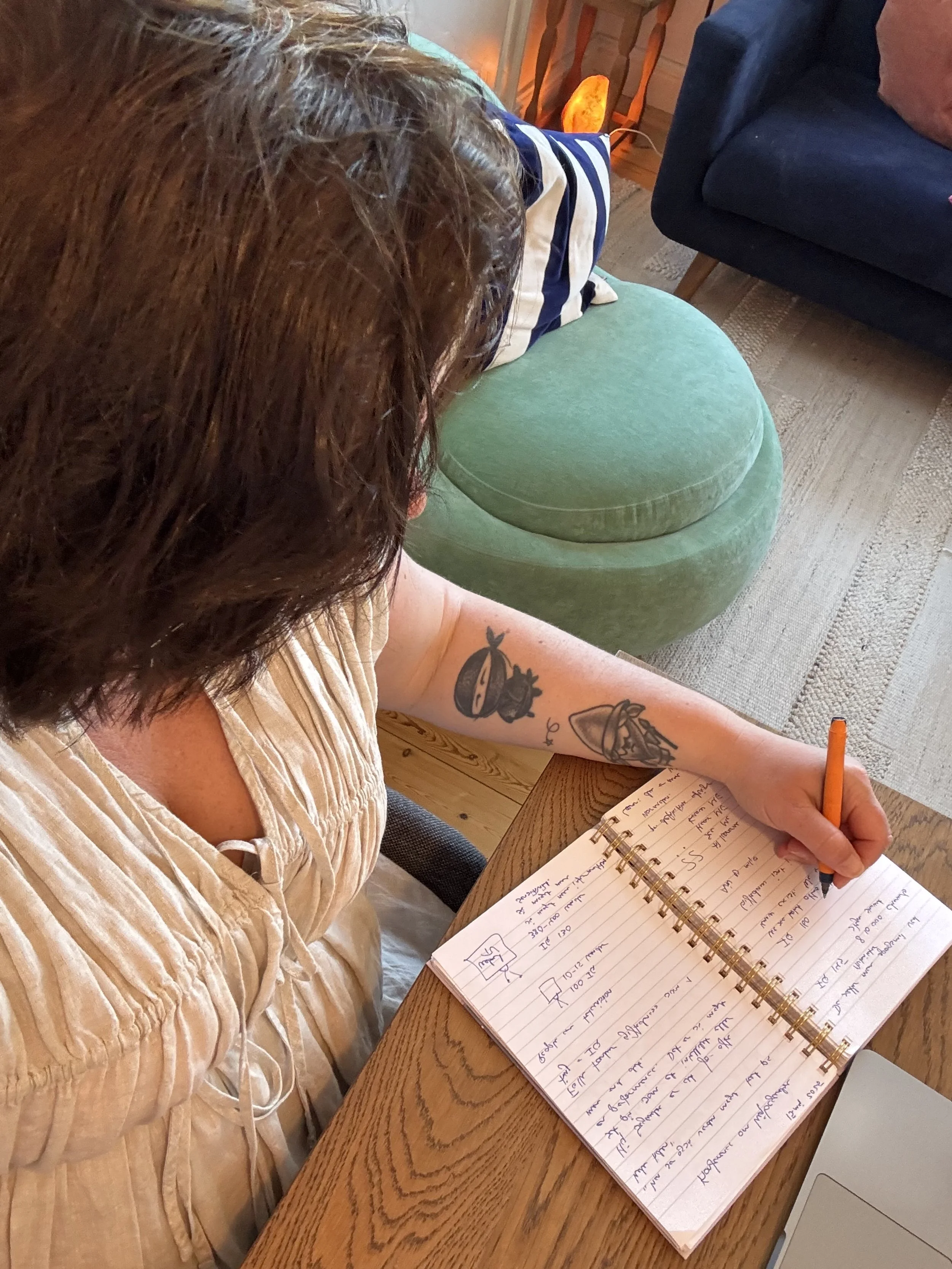 Personlige refleksioner efter Gifted Institutes konference om høj begavelse