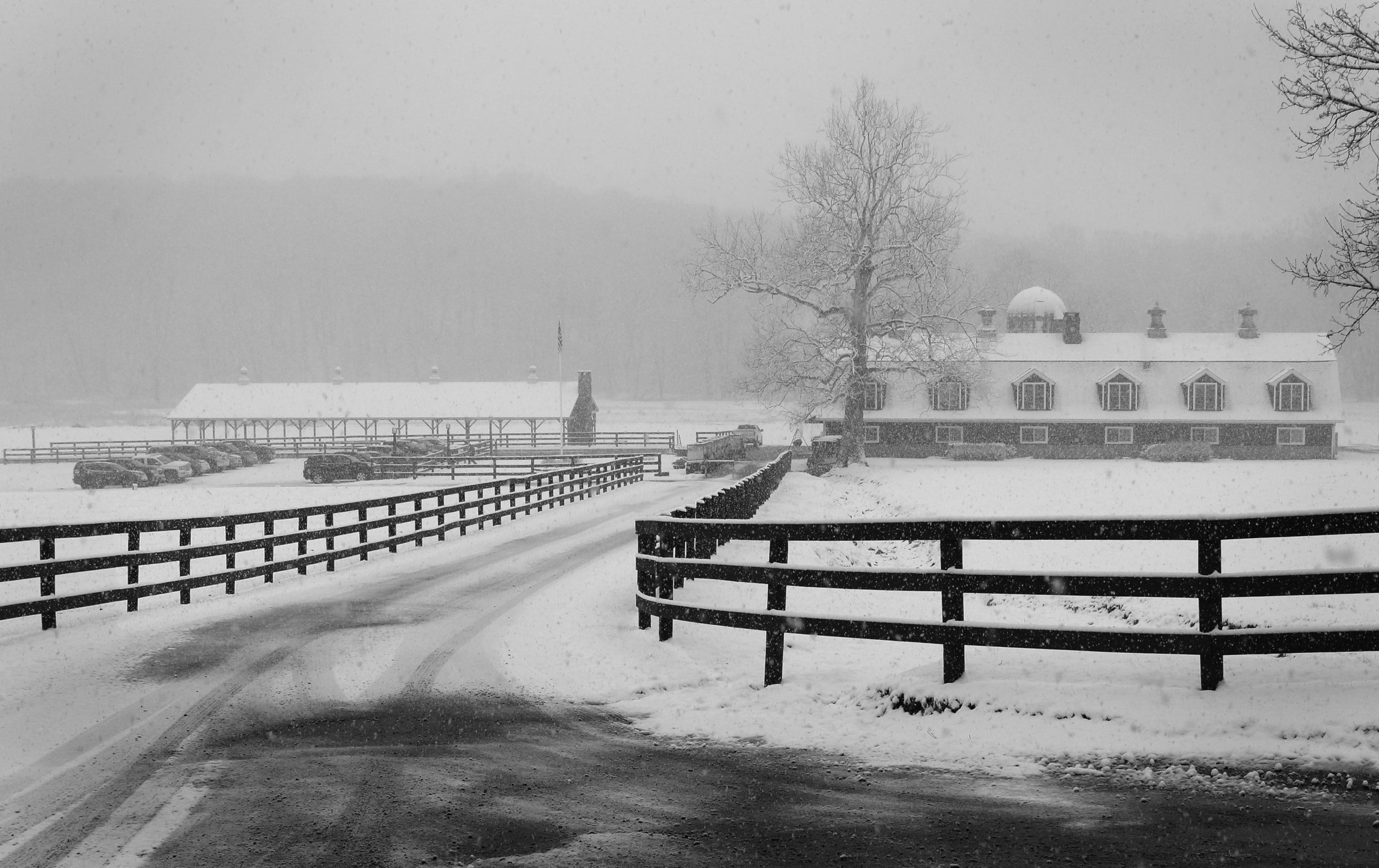 like itIMG_4060BW.jpg