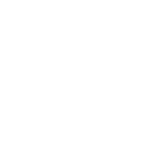 rowdy-hall-logo_white_500x535.png