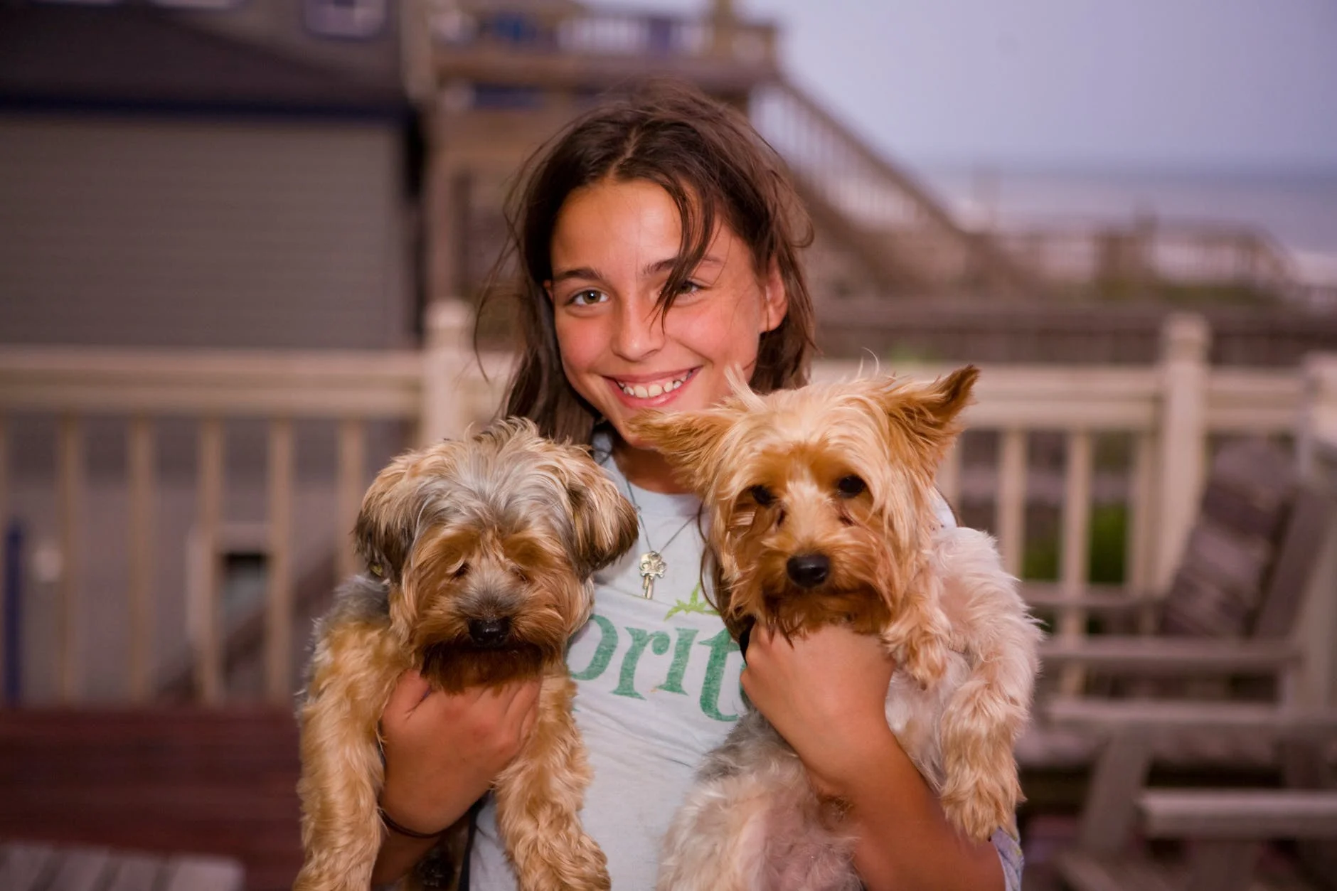 pets-kids-dogs-animal-161462.jpeg