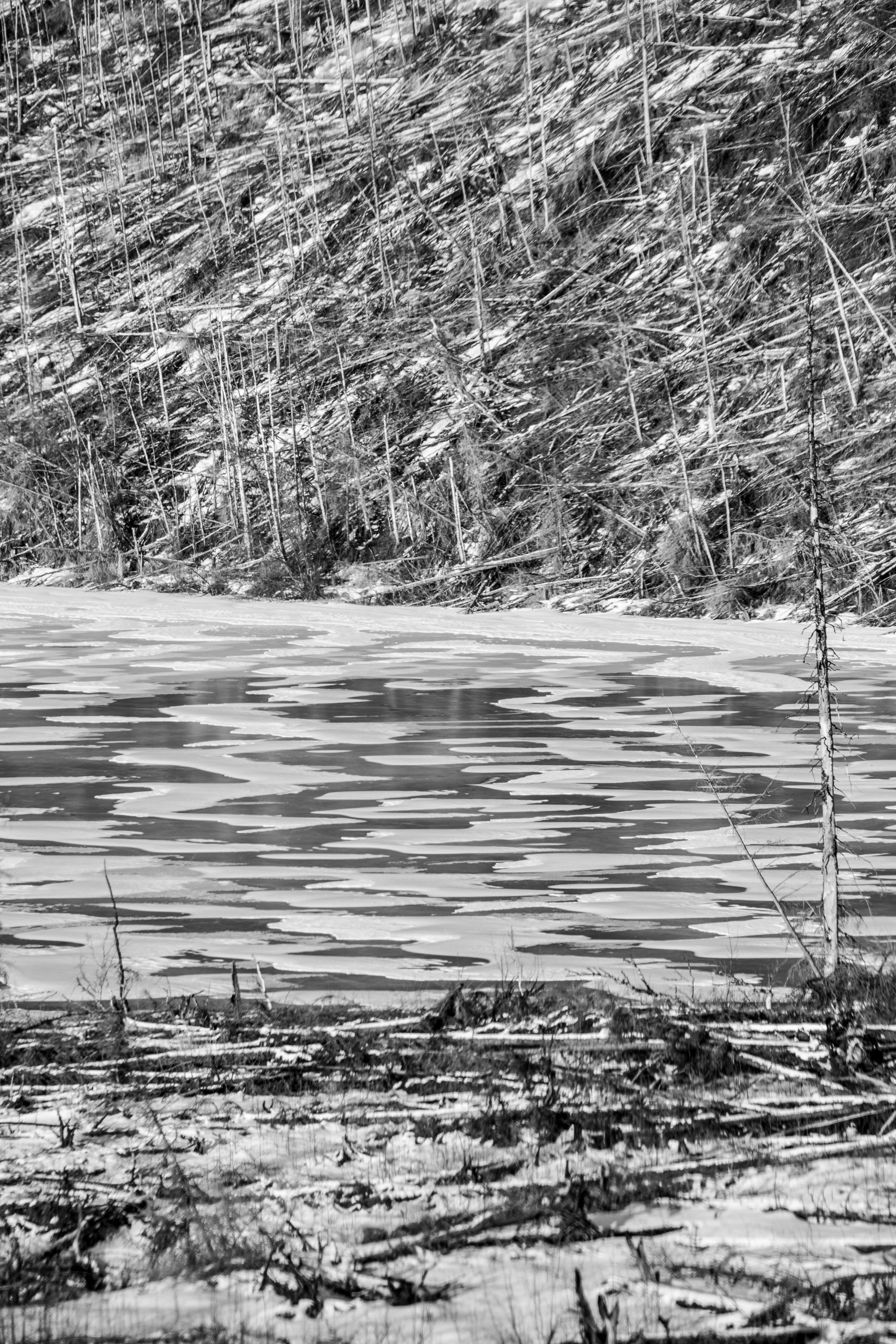 10_Drifting Snow.jpg