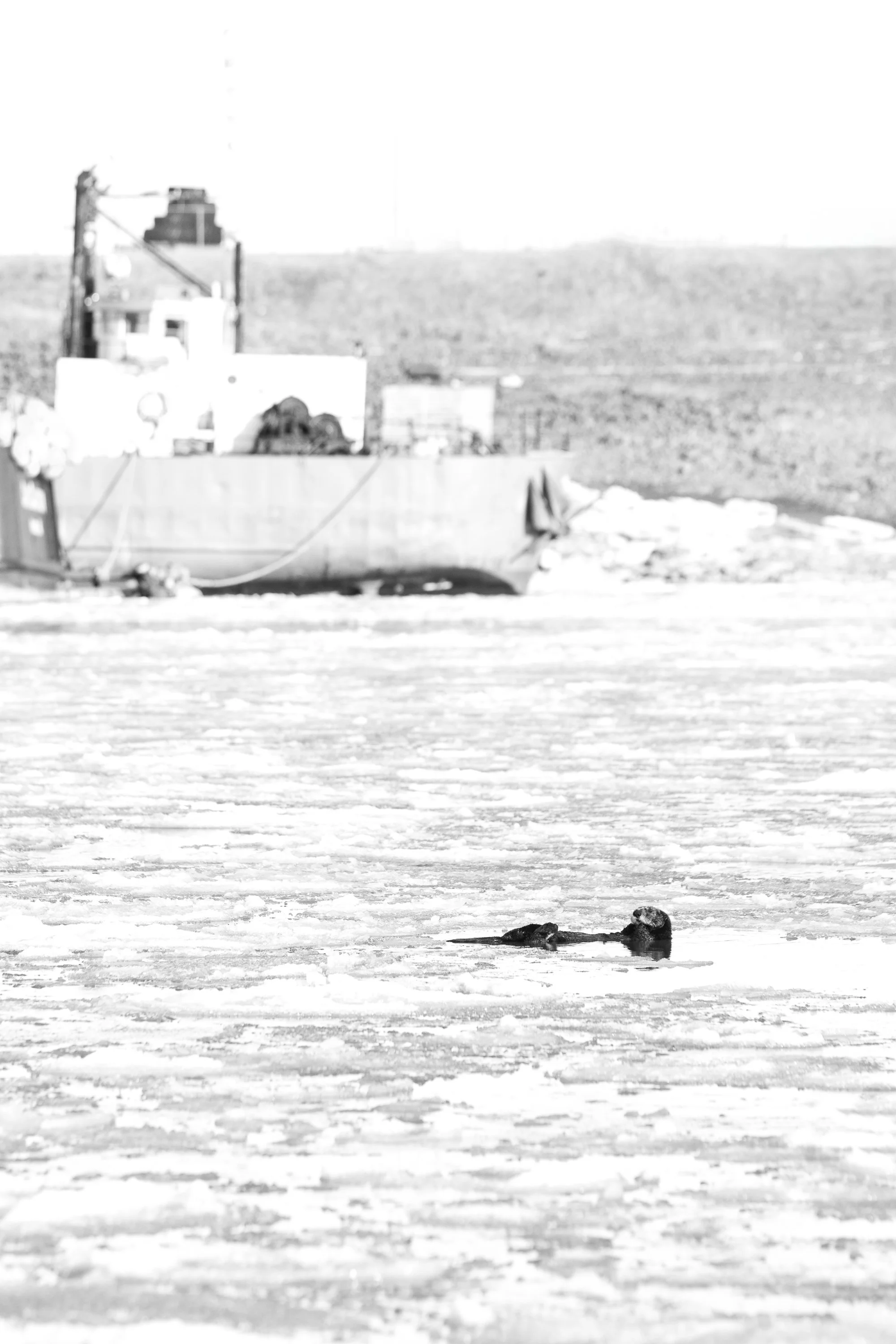 13_Drifting Snow.jpg