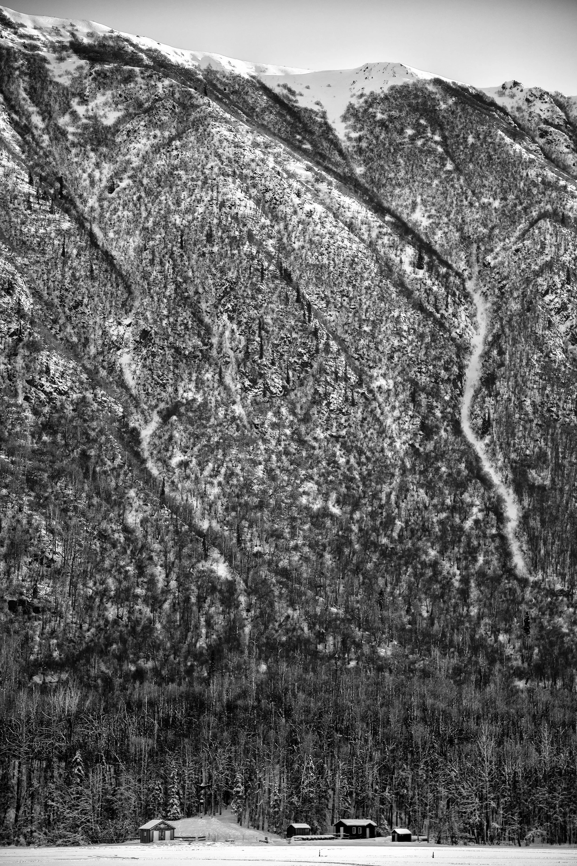 14_Drifting Snow.jpg