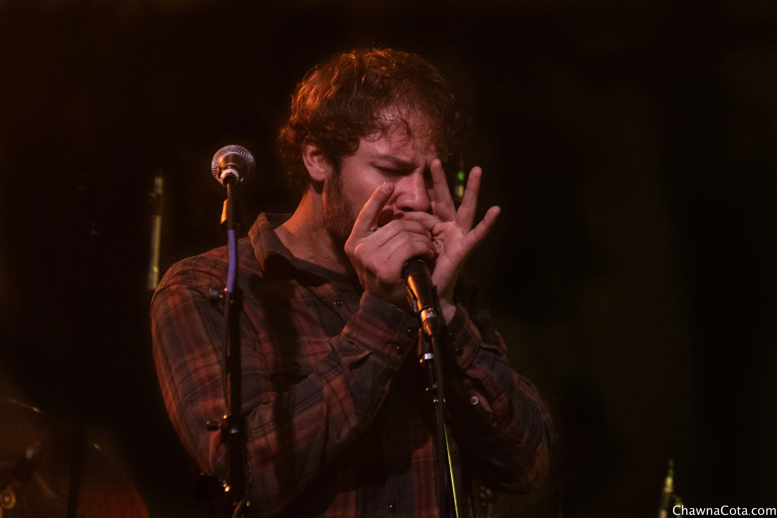 Tenderbellies at Higher Ground 2018-9.jpg
