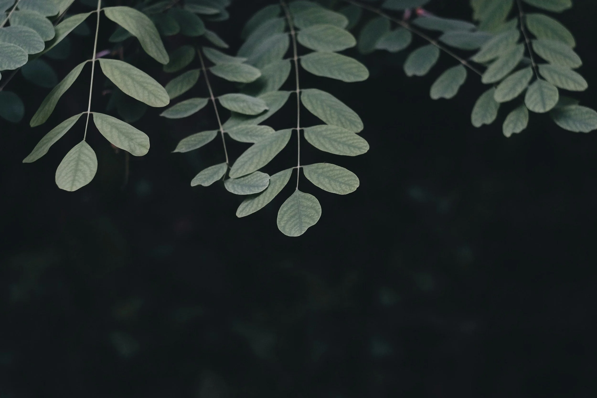 unsplash-image-CBh4D3l0EwM.jpg