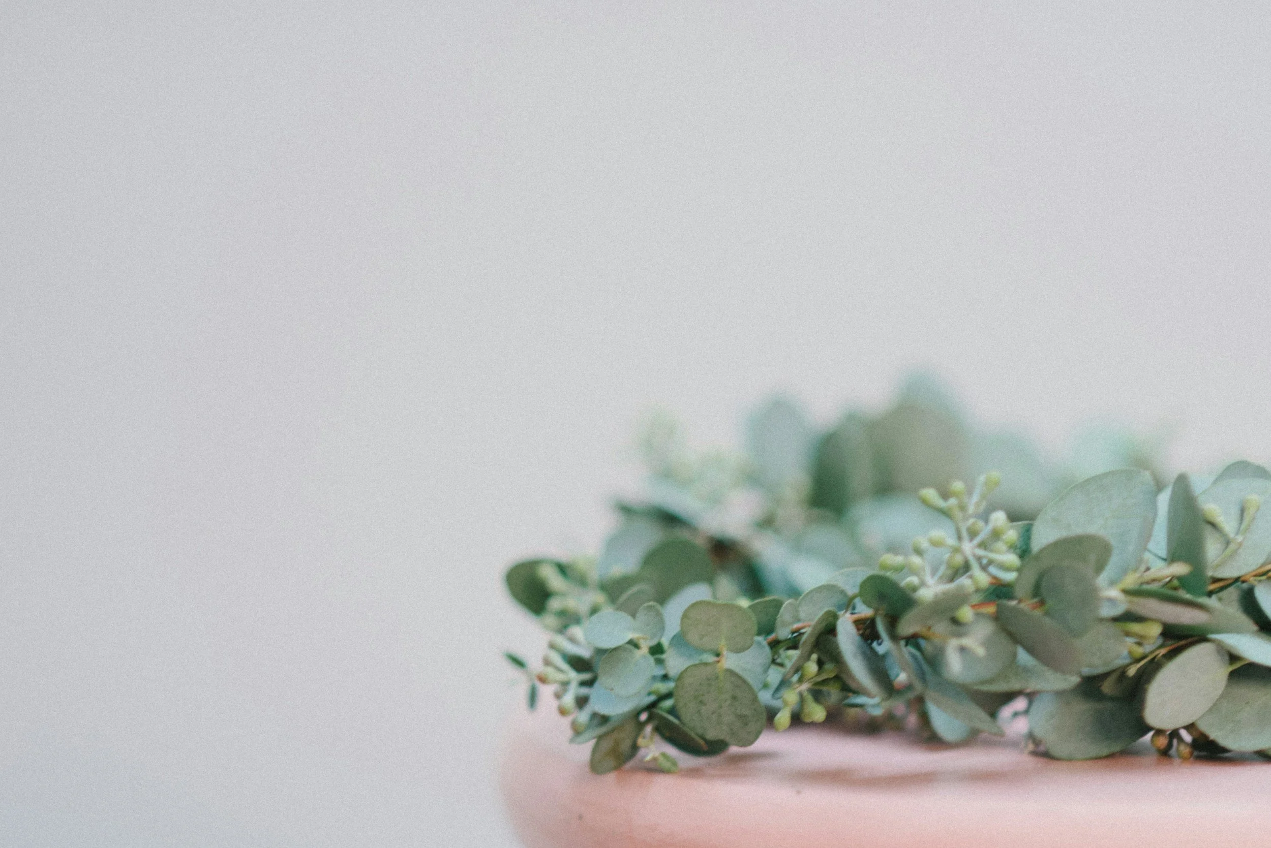 unsplash-image-lkP3Lj91u6Y.jpg