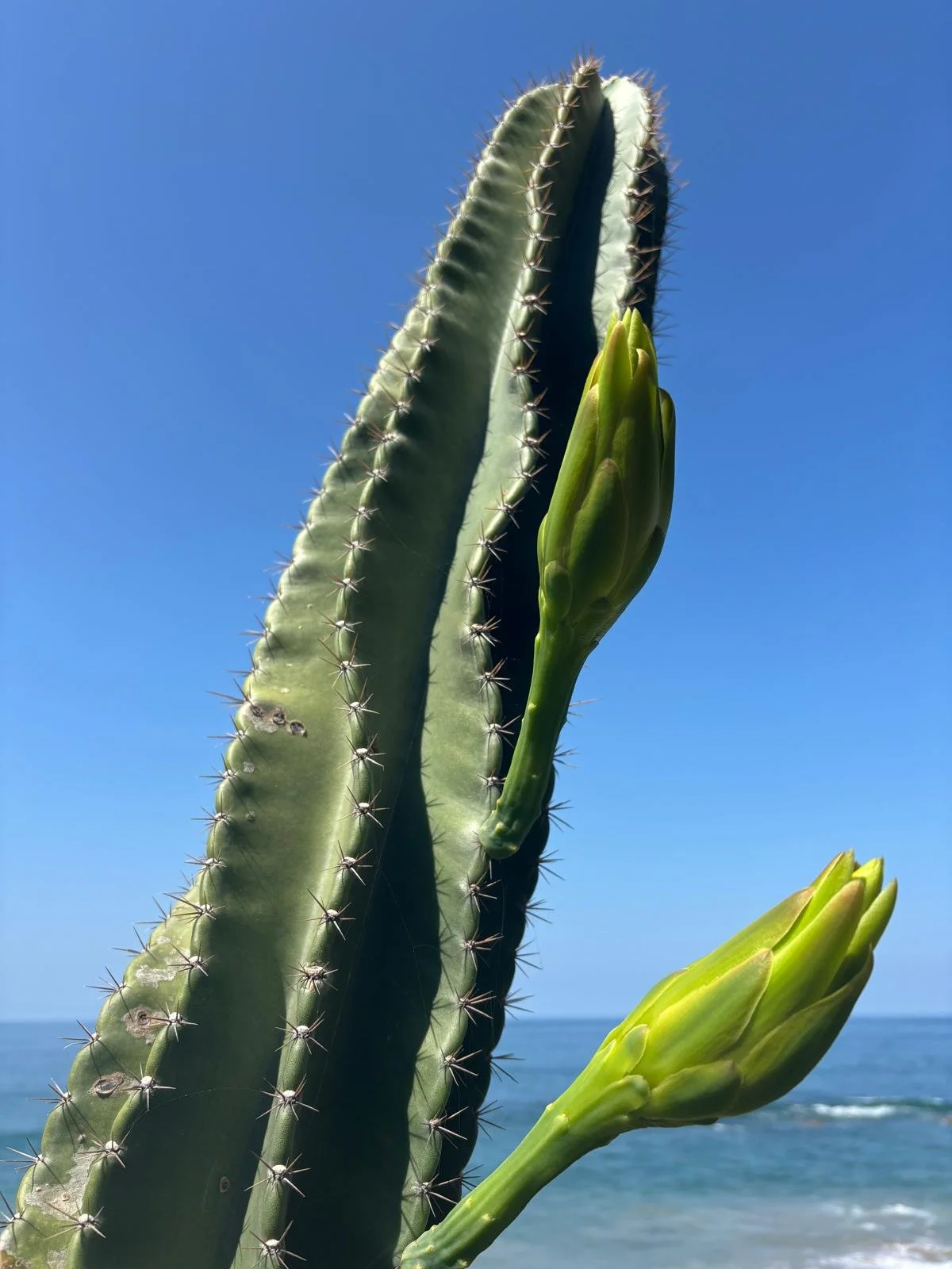 WhatsApp Image 2025-10-30 at 18.54.47 (2).jpeg