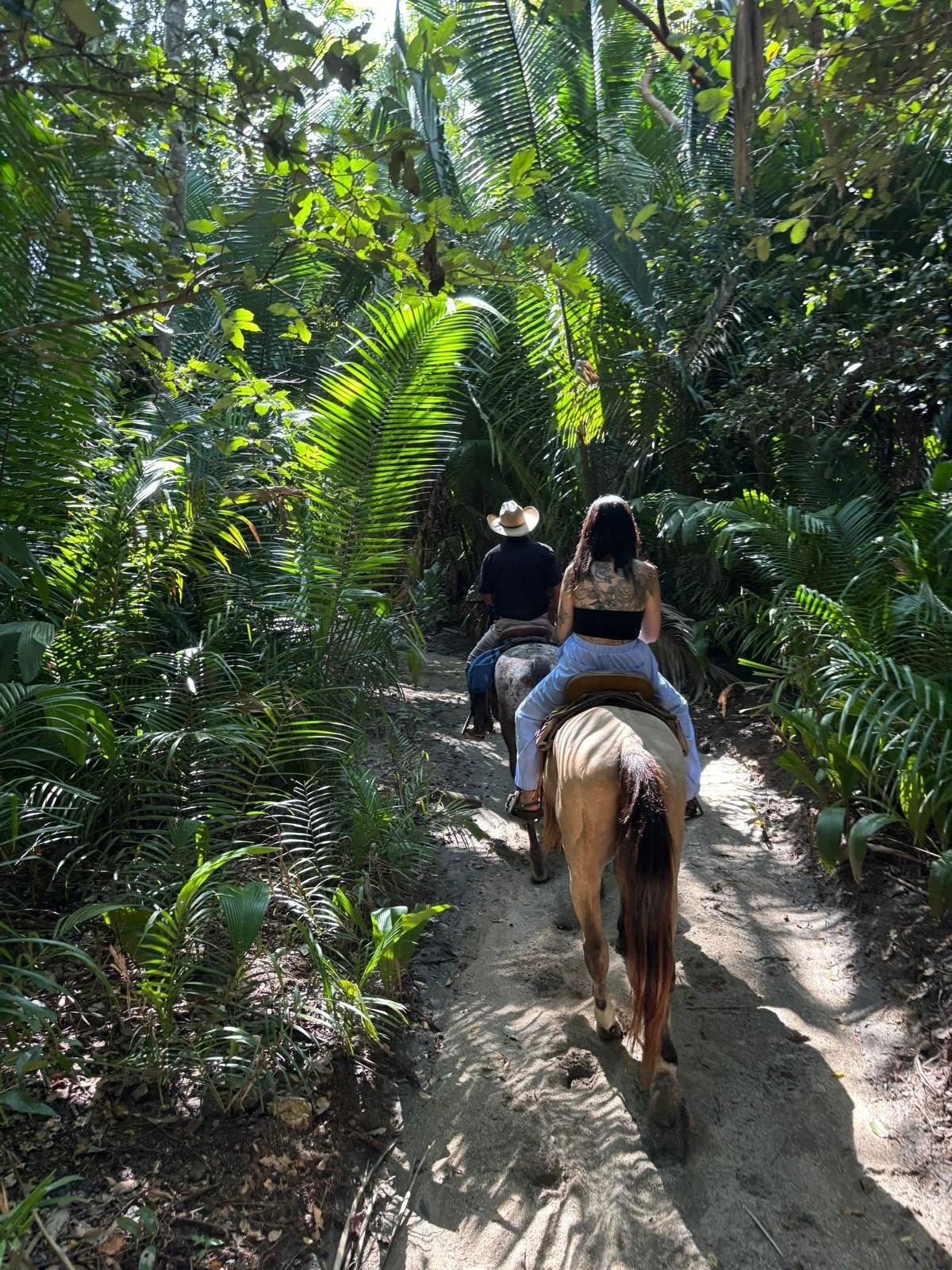 WhatsApp Image 2025-10-30 at 17.46.22 (4).jpeg