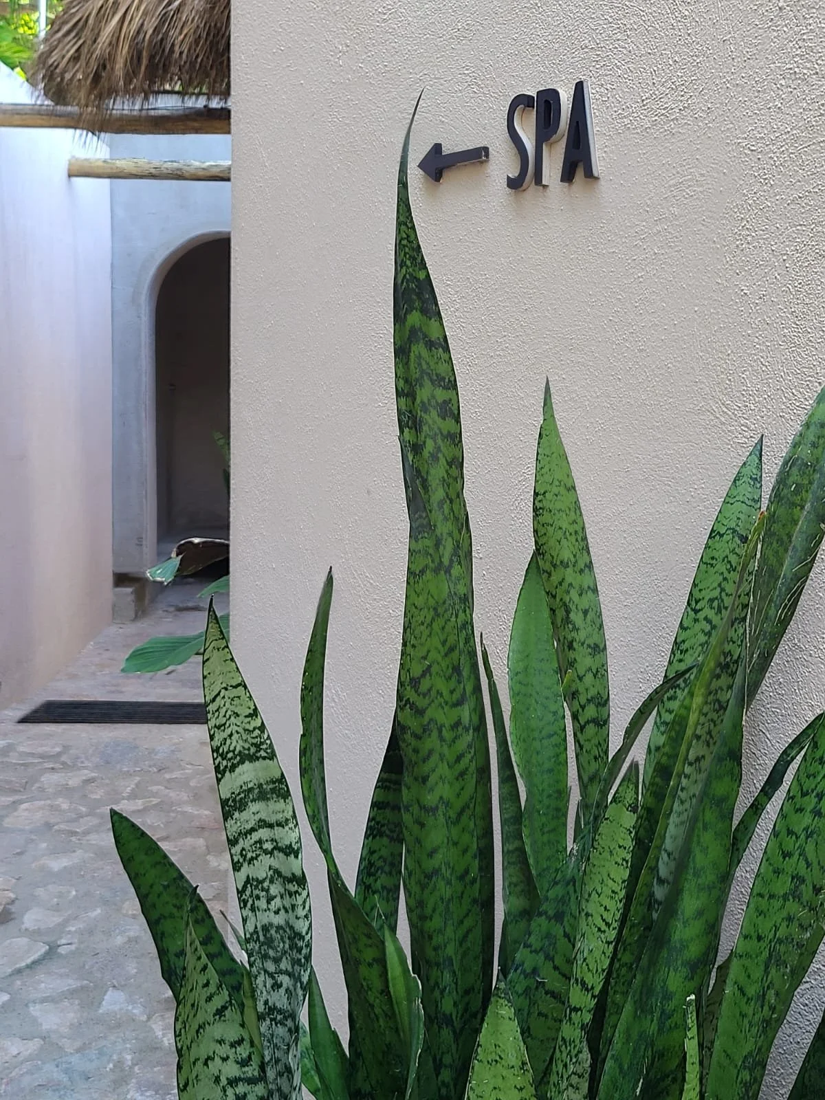 WhatsApp Image 2025-10-27 at 10.14.40.jpeg