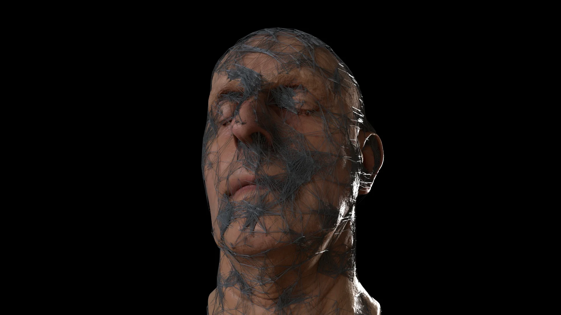 gamA_rnd_lookF_FaceLines_still_v06.jpg