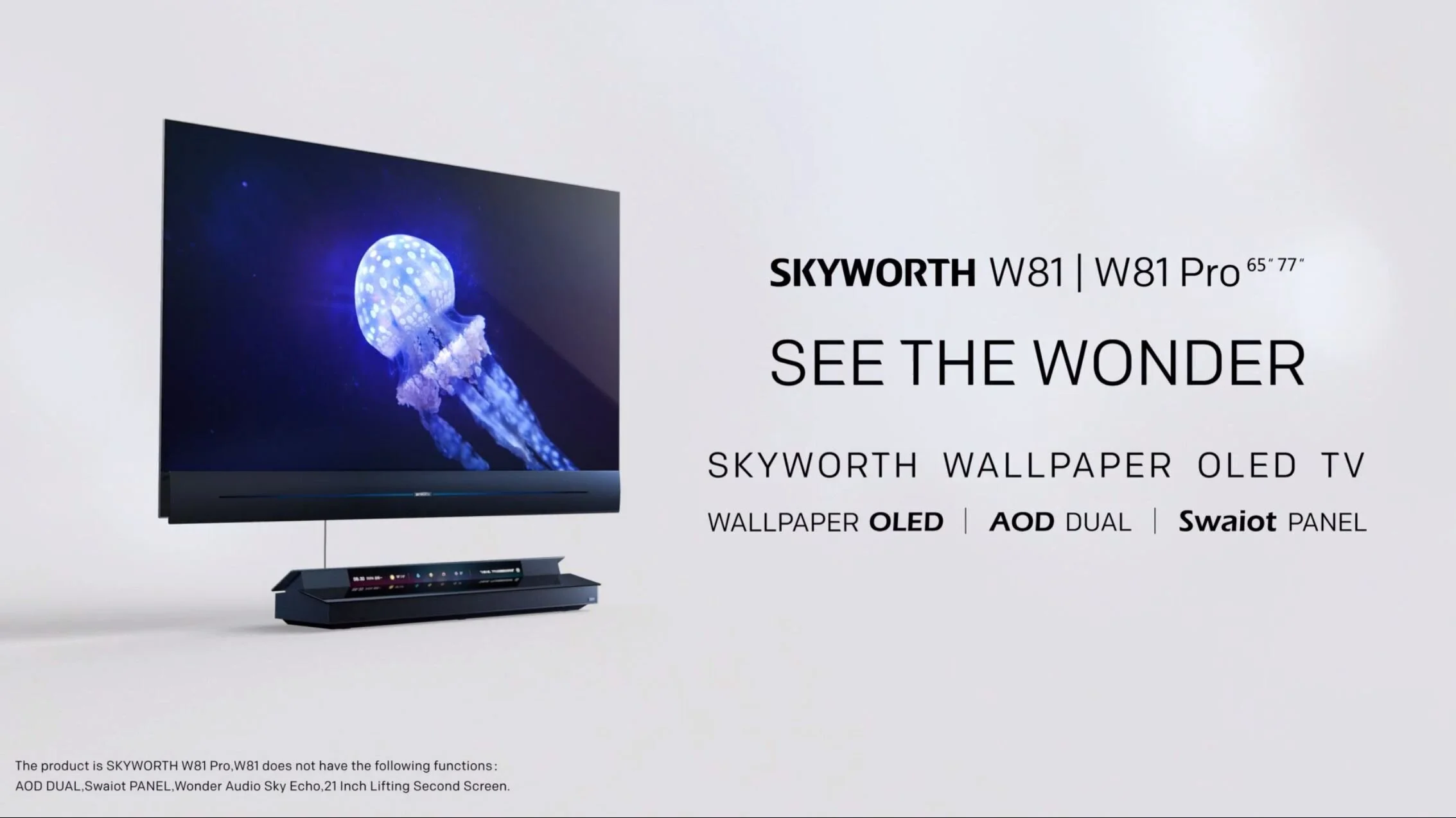 skyWorth06.JPG