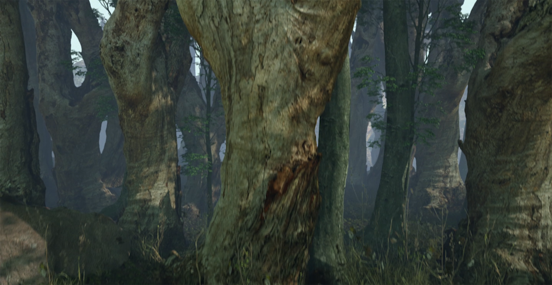Layer 6.png