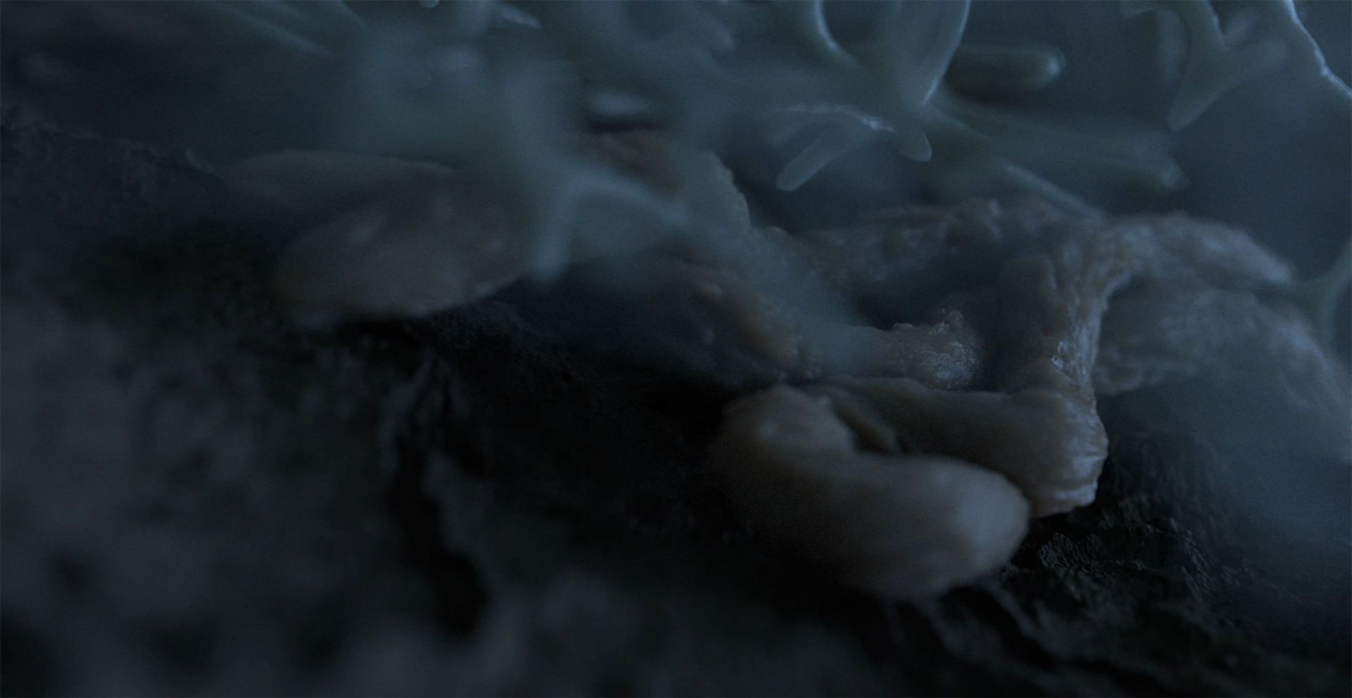 Layer 11.png